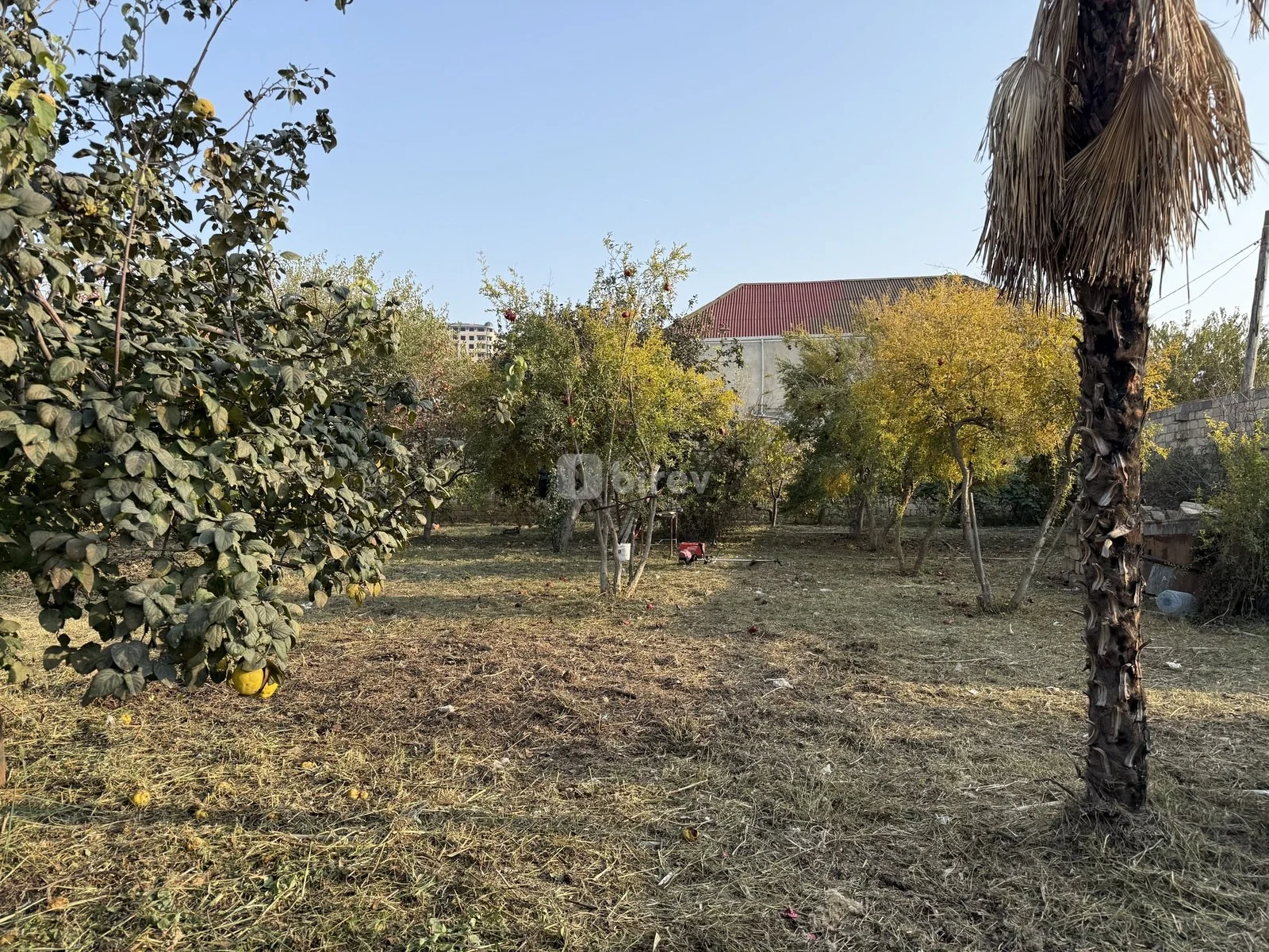 10 sot torpaq, Xırdalan q., Asef zeynalli kucesi, Abşeron rayonu — şəkil 4