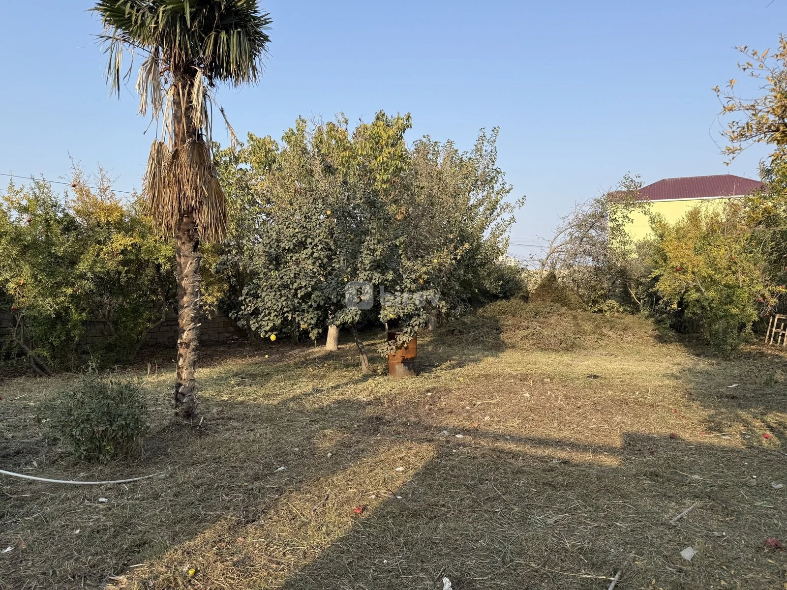 10 sot torpaq, Xırdalan q., Asef zeynalli kucesi, Abşeron rayonu — şəkil 5