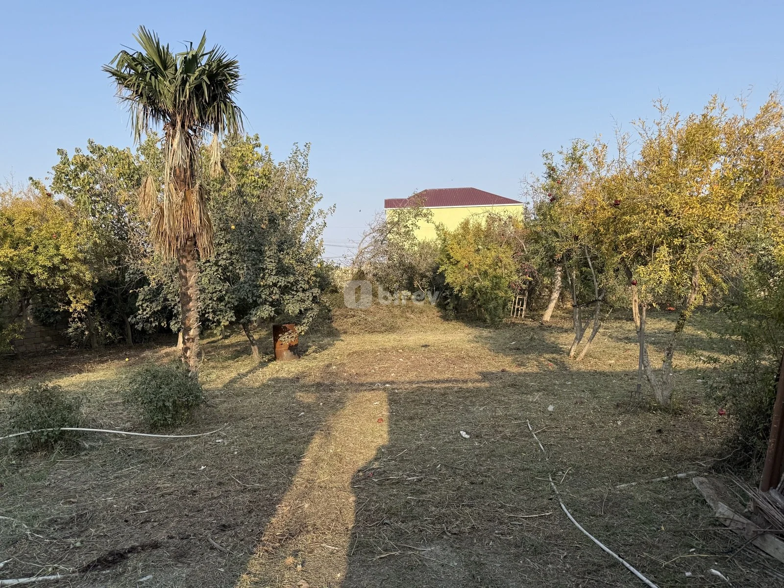 10 sot torpaq, Xırdalan q., Asef zeynalli kucesi, Abşeron rayonu — şəkil 6
