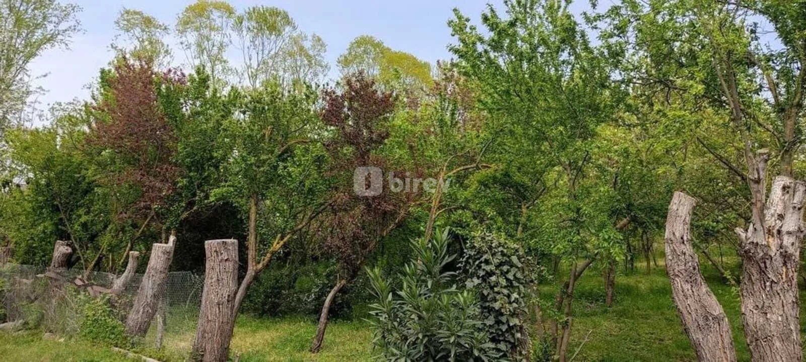 3 otaqlı həyət evi, Lənkəran şəhəri, Lənkəran şəhəri, Lənkəran şəhəri — şəkil 21