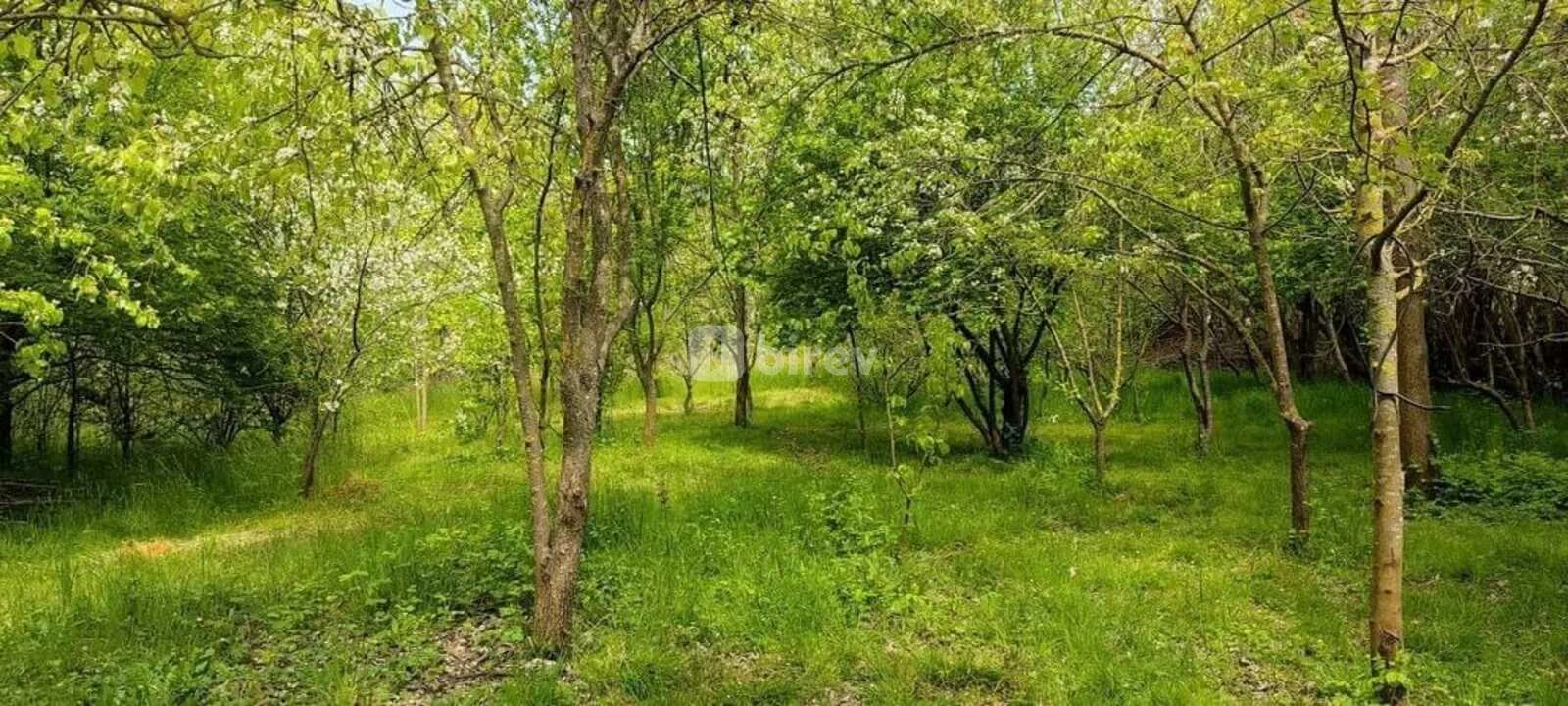 3 otaqlı həyət evi, Lənkəran şəhəri, Lənkəran şəhəri, Lənkəran şəhəri — şəkil 22