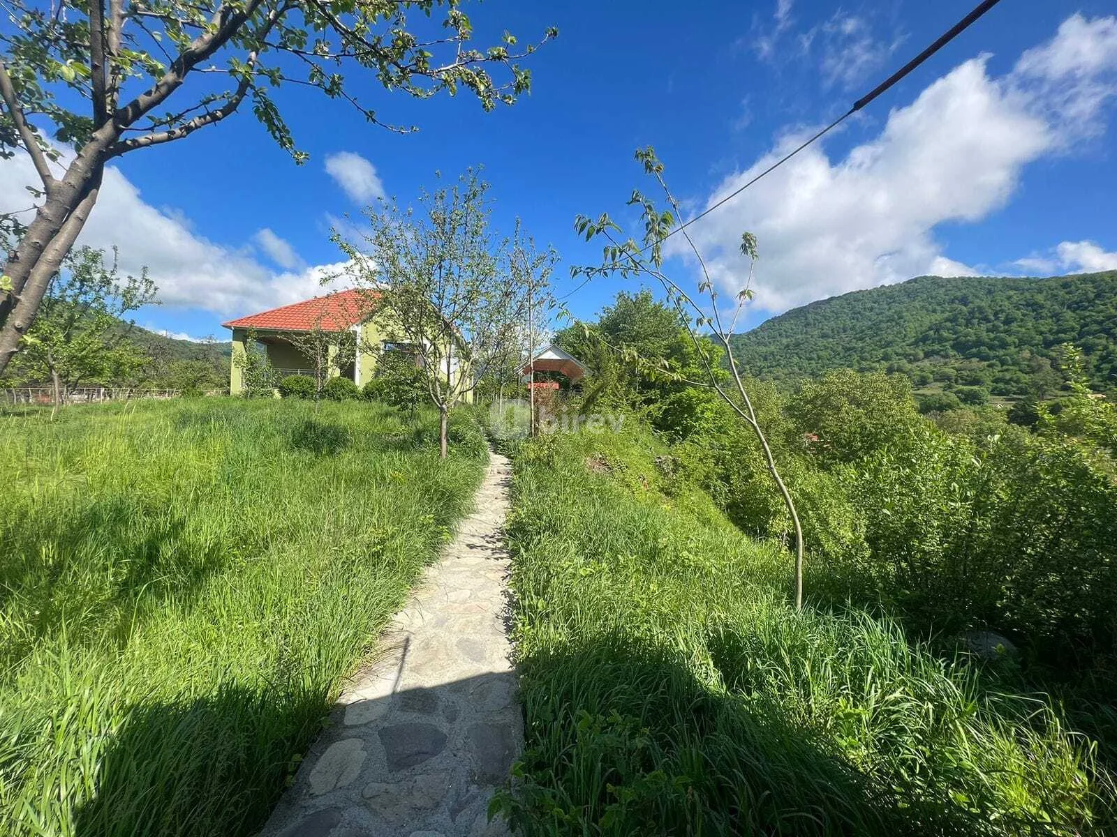 3 otaqlı həyət evi, İsmayıllı rayonu, Qalacıq kəndi — şəkil 2
