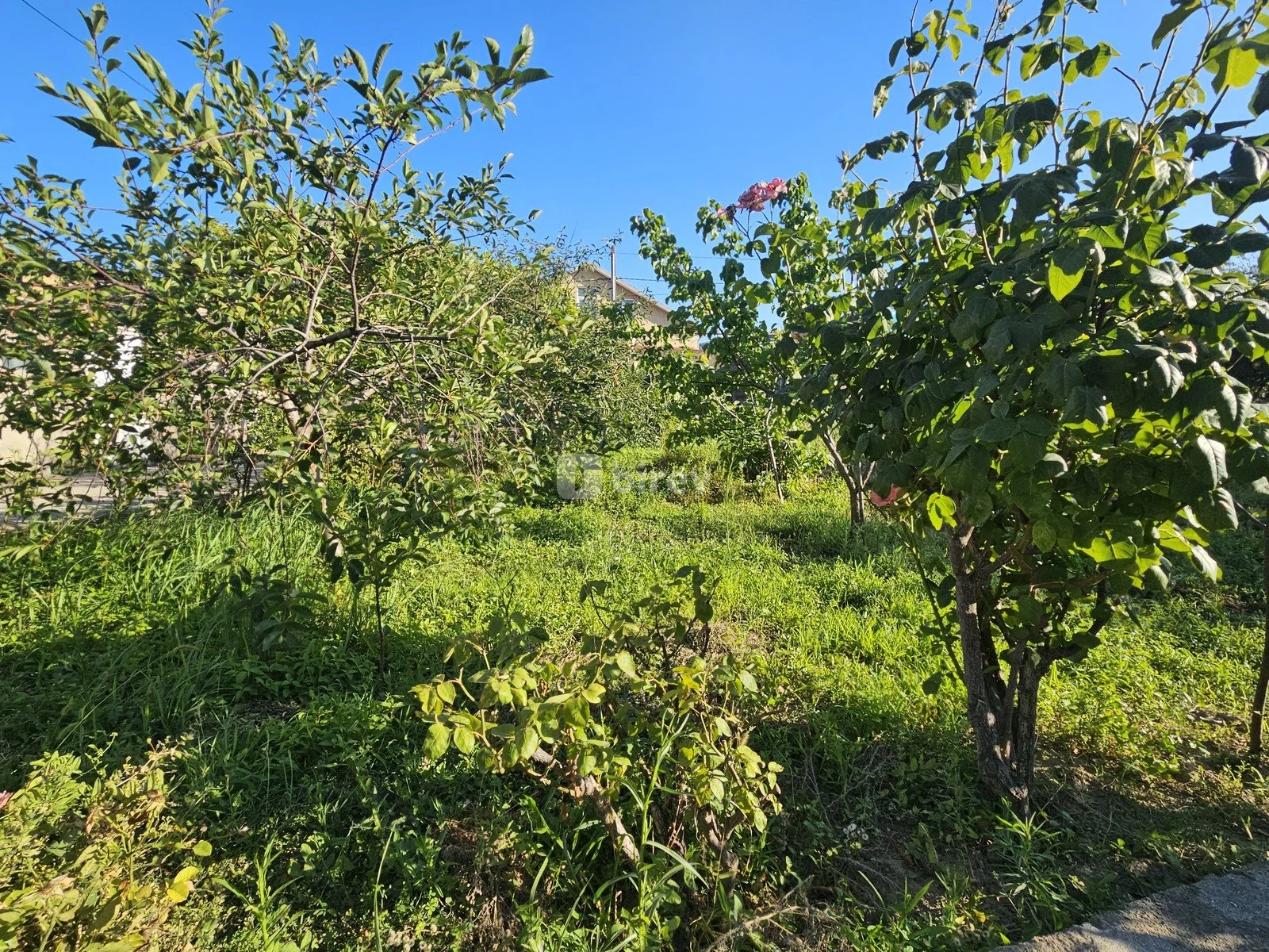 3 sot torpaq, Binəqədi rayonu, Binəqədi, 1-ci mədən, Bakı şəhəri — şəkil 3