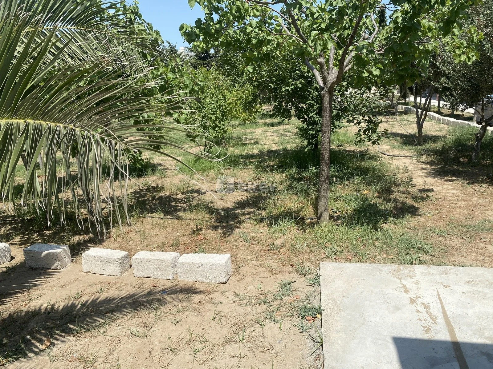 7 sot torpaq, Şüvəlan q., Şüvəlan qəsəbəsi, Xəzər rayonu — şəkil 4