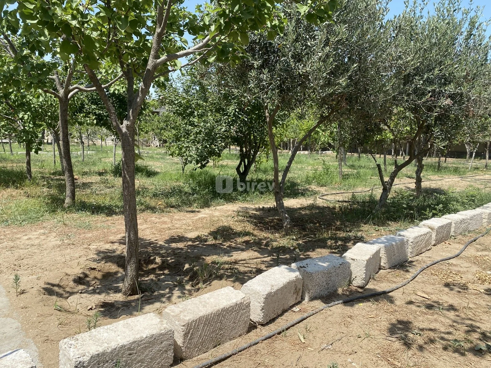 7 sot torpaq, Şüvəlan q., Şüvəlan qəsəbəsi, Xəzər rayonu — şəkil 5