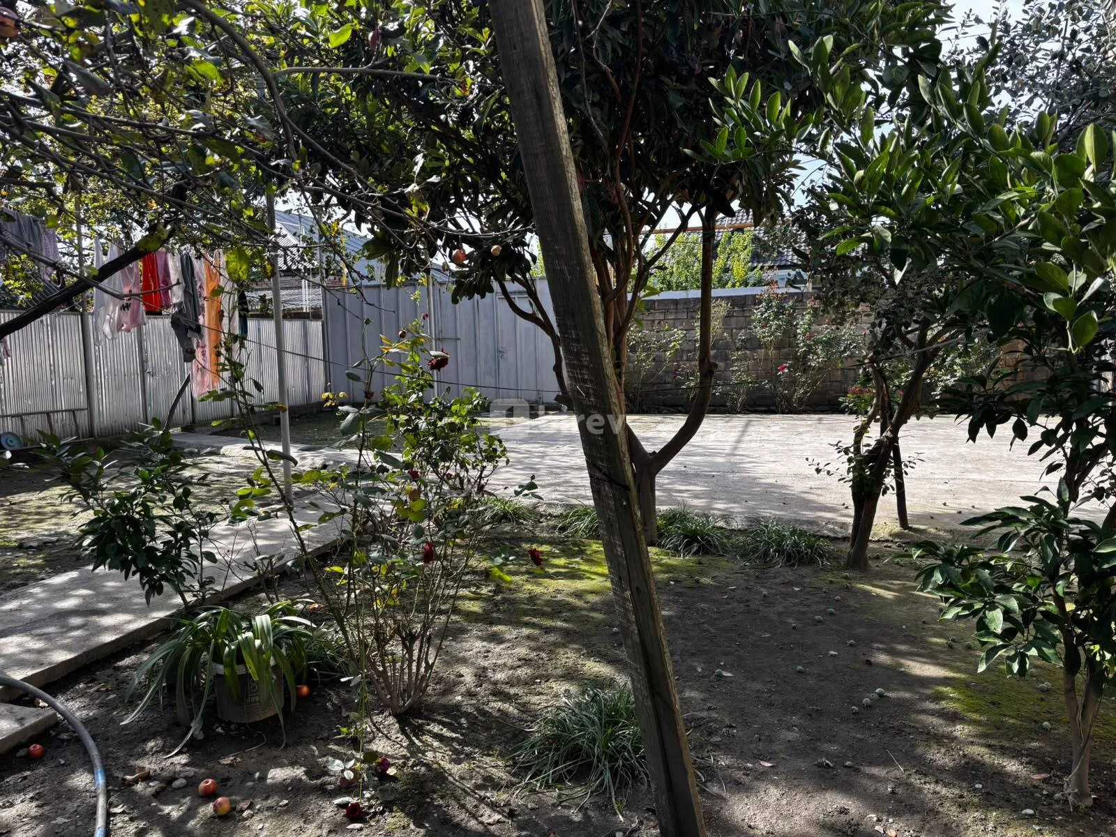 4 otaqlı həyət evi, Balakən rayonu, R. Semediv küçesi. — şəkil 4