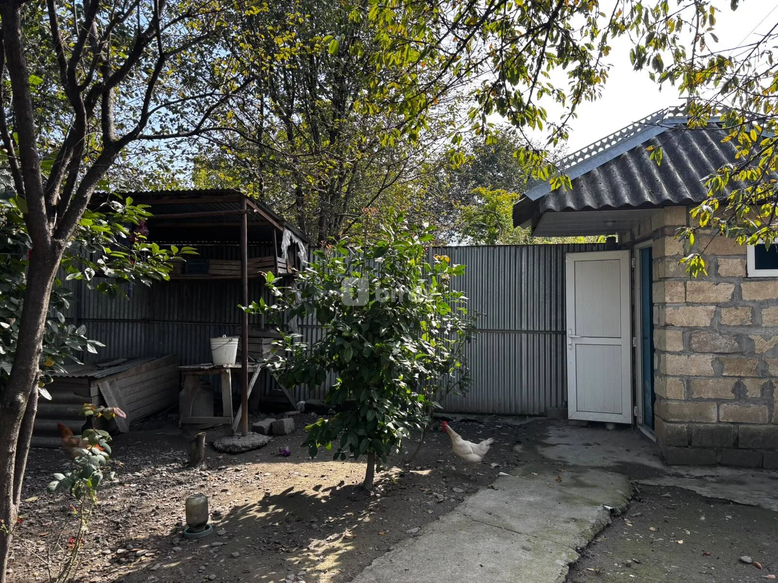 4 otaqlı həyət evi, Balakən rayonu, R. Semediv küçesi. — şəkil 8