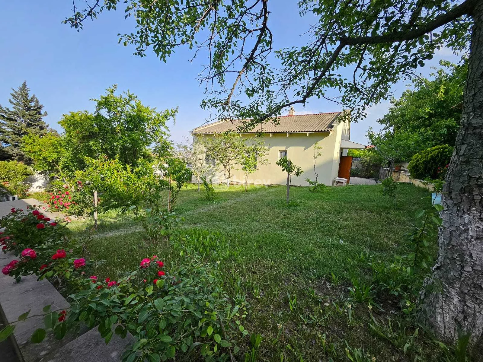 5 otaqlı həyət evi, Buzovna q., Puşkin küçəsi, Xəzər rayonu — şəkil 6