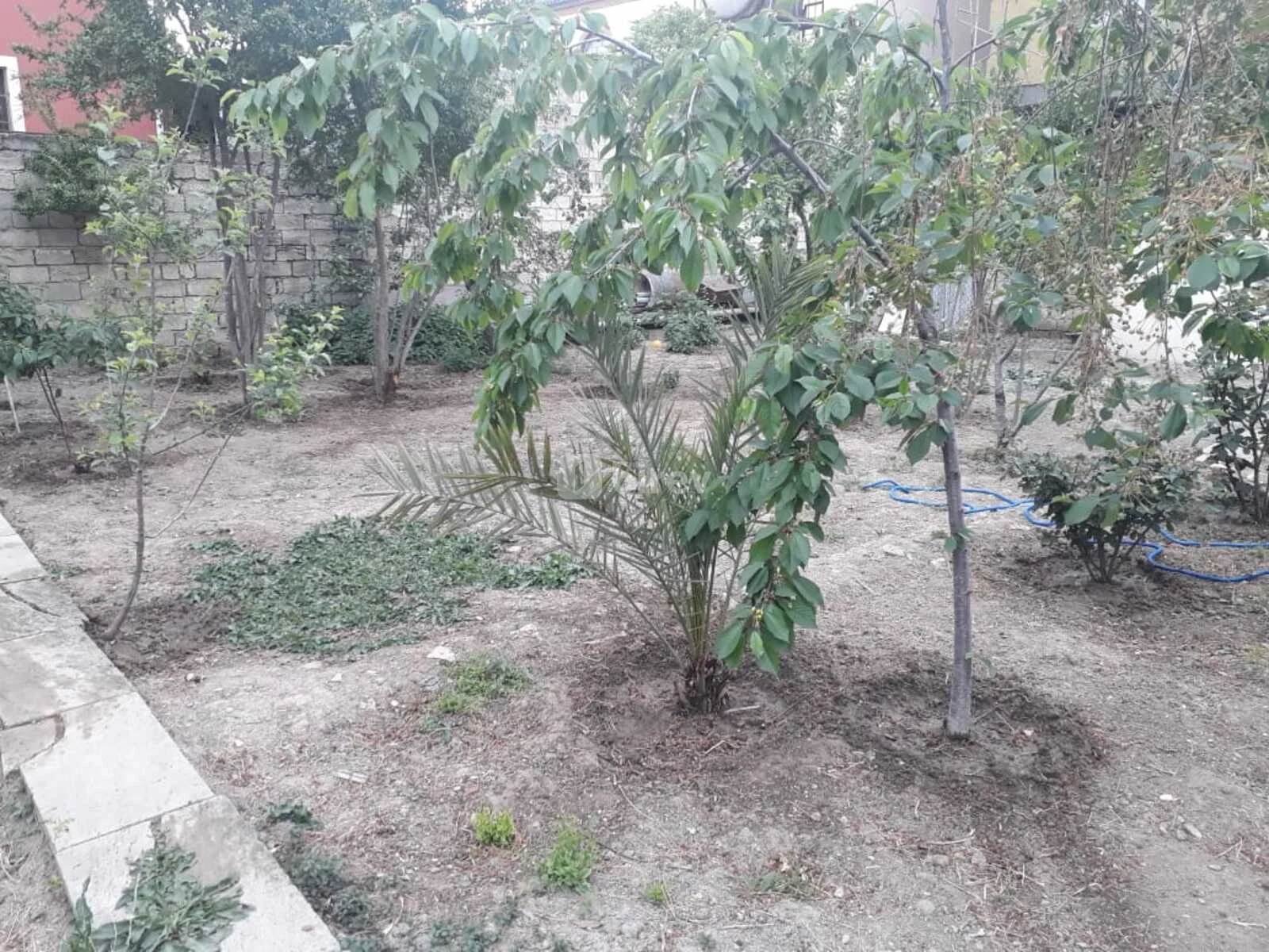 8 sot torpaq, Bakıxanov q., Yavər Əliyev küçəsi, Sabunçu rayonu — şəkil 3