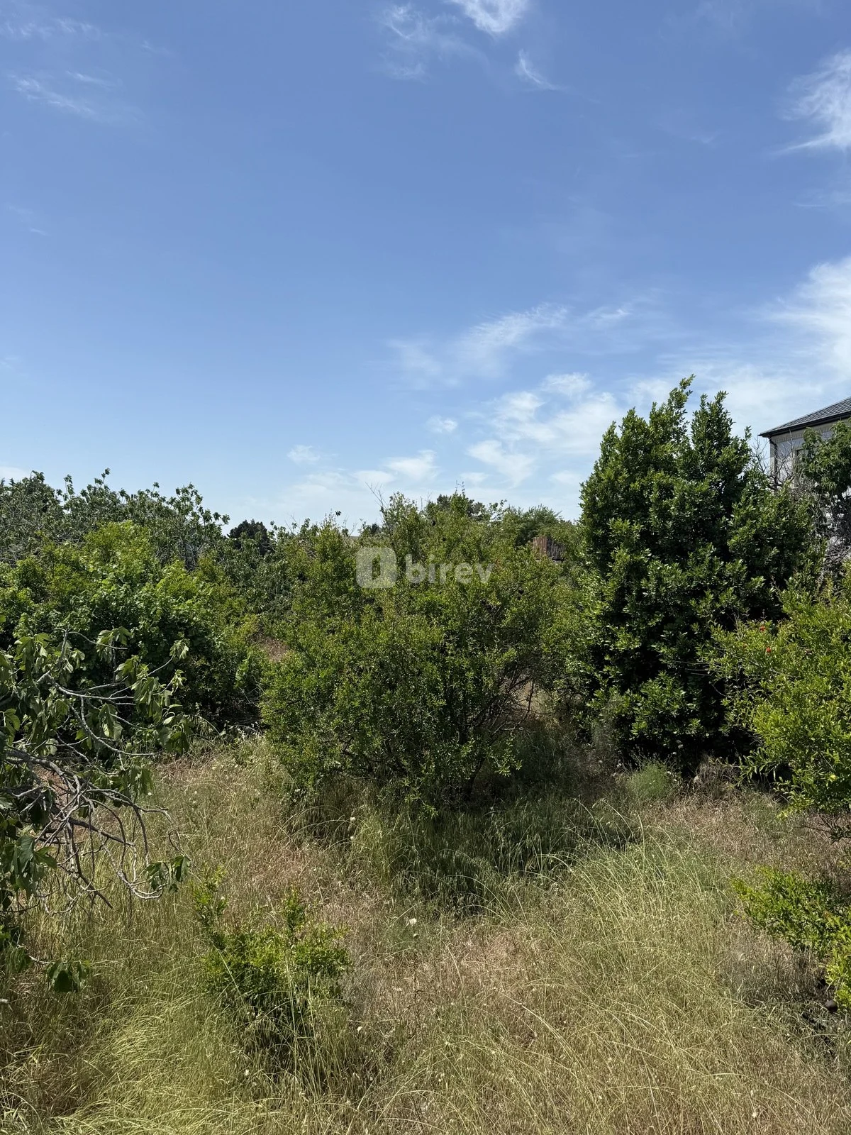 25 sot torpaq, Görədil q., Görədil qəs., Abşeron rayonu — şəkil 6