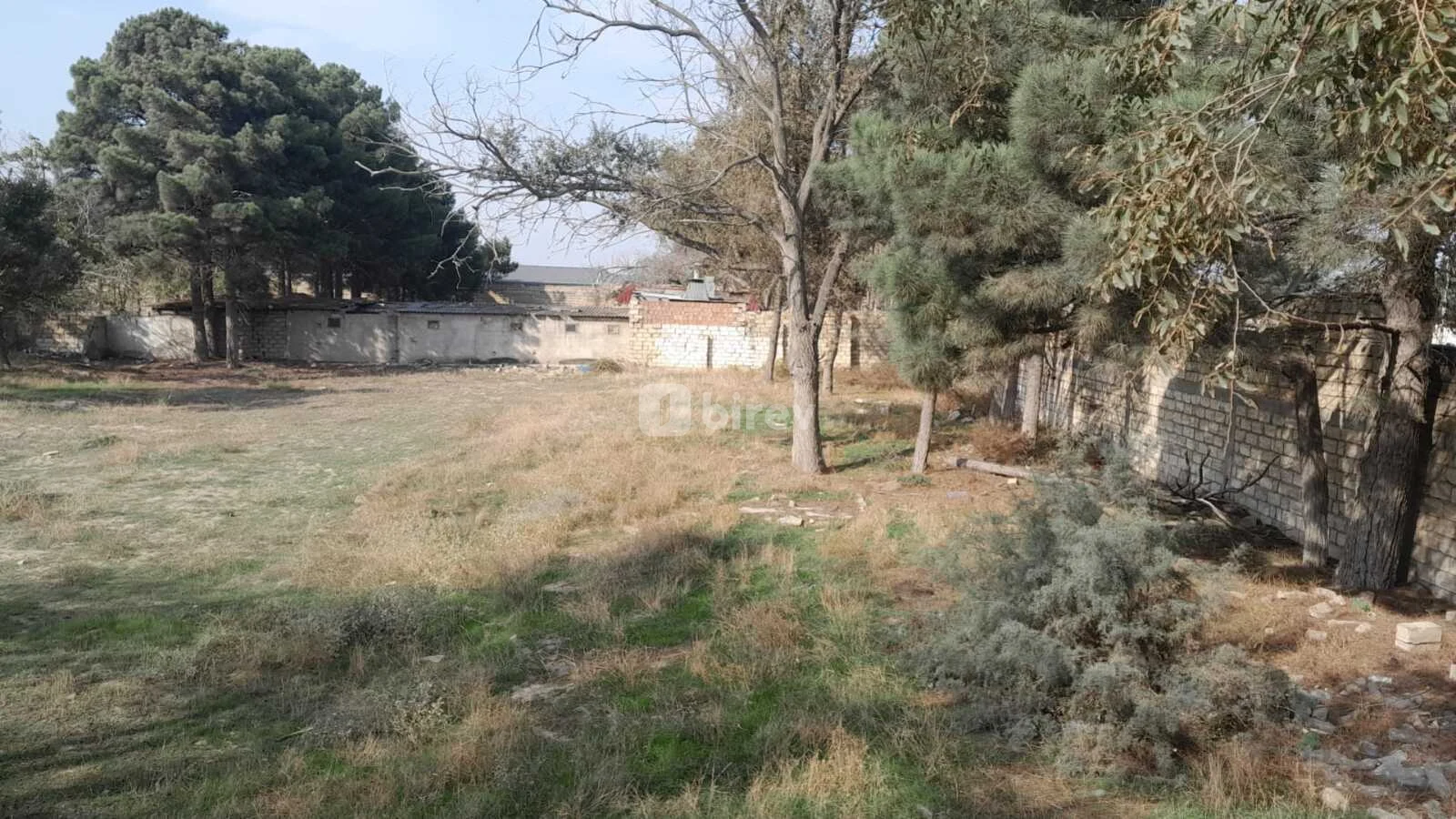 40 sot torpaq, Sumqayıt şəhəri, Ceyranbatan — şəkil 4