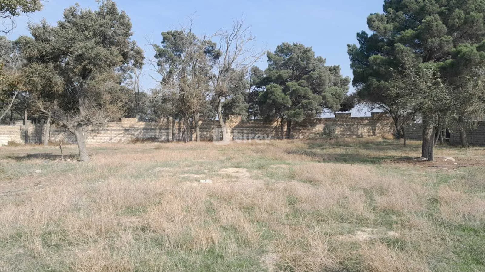 40 sot torpaq, Sumqayıt şəhəri, Ceyranbatan — şəkil 5