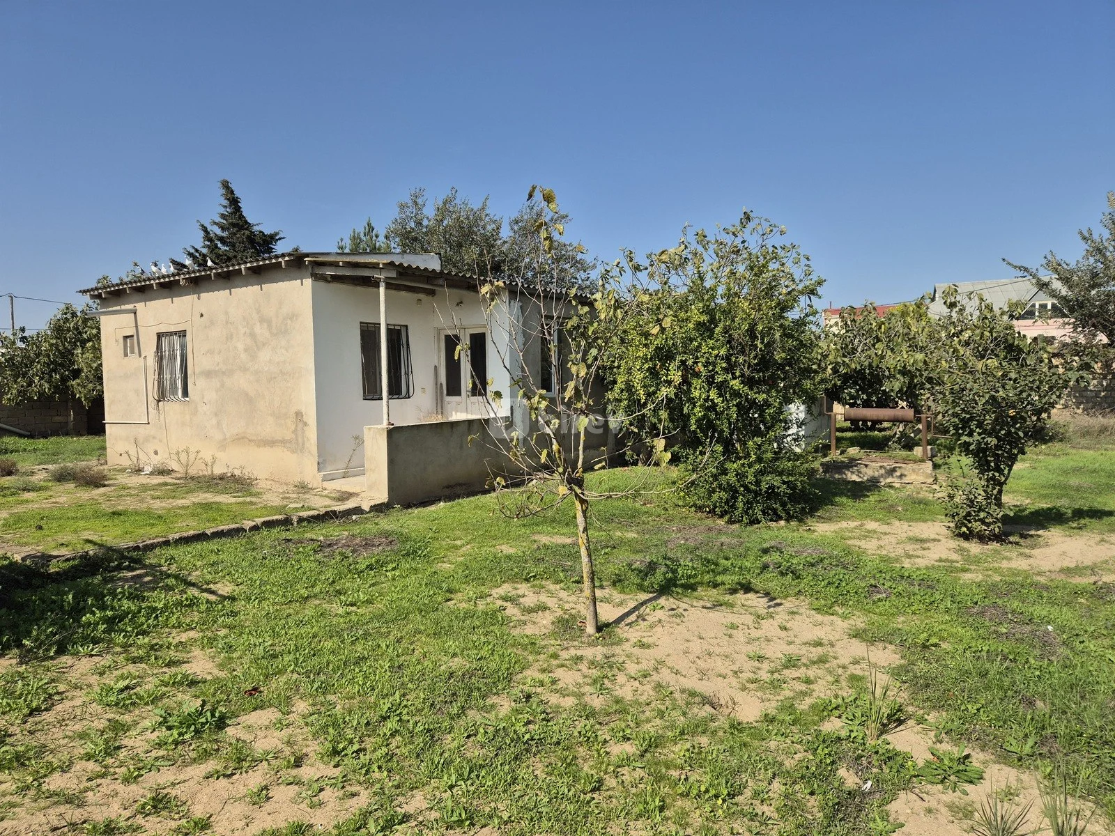 11.7 sot torpaq, Qala q., Qala qəsəbəsi, Xəzər rayonu — şəkil 2