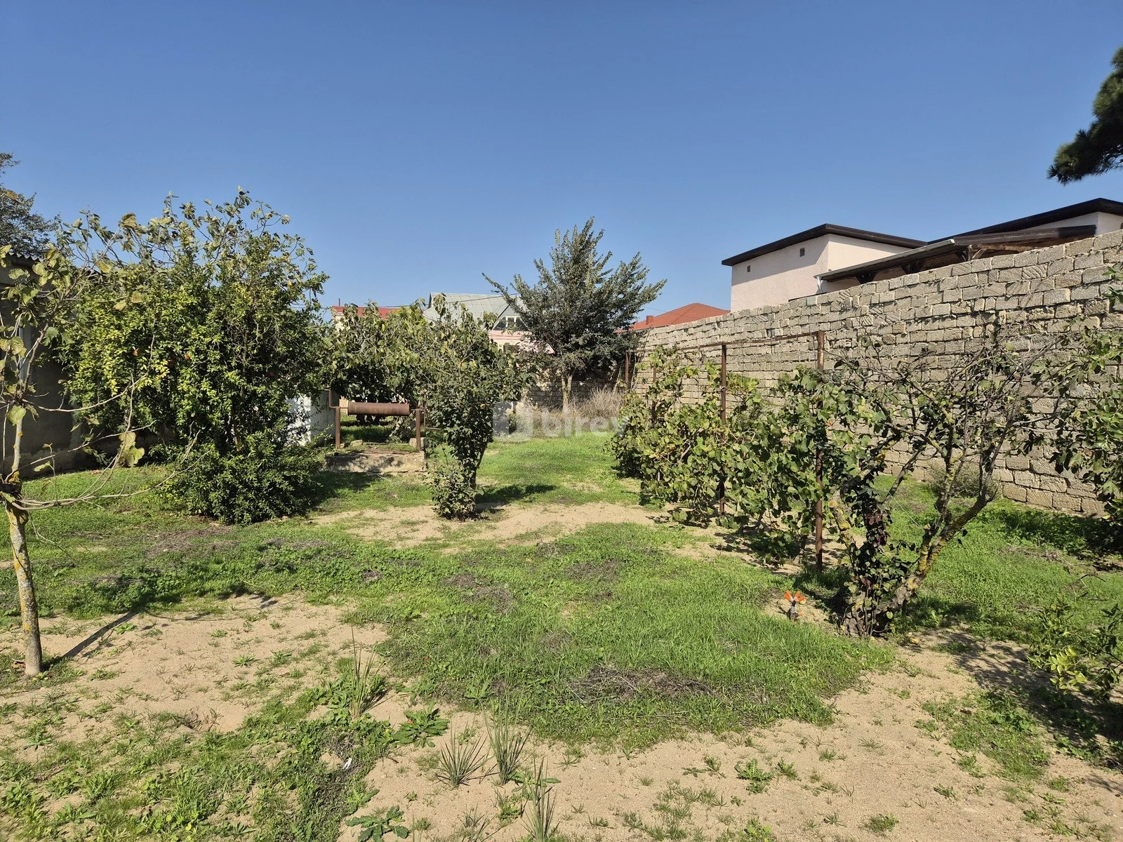 11.7 sot torpaq, Qala q., Qala qəsəbəsi, Xəzər rayonu — şəkil 3
