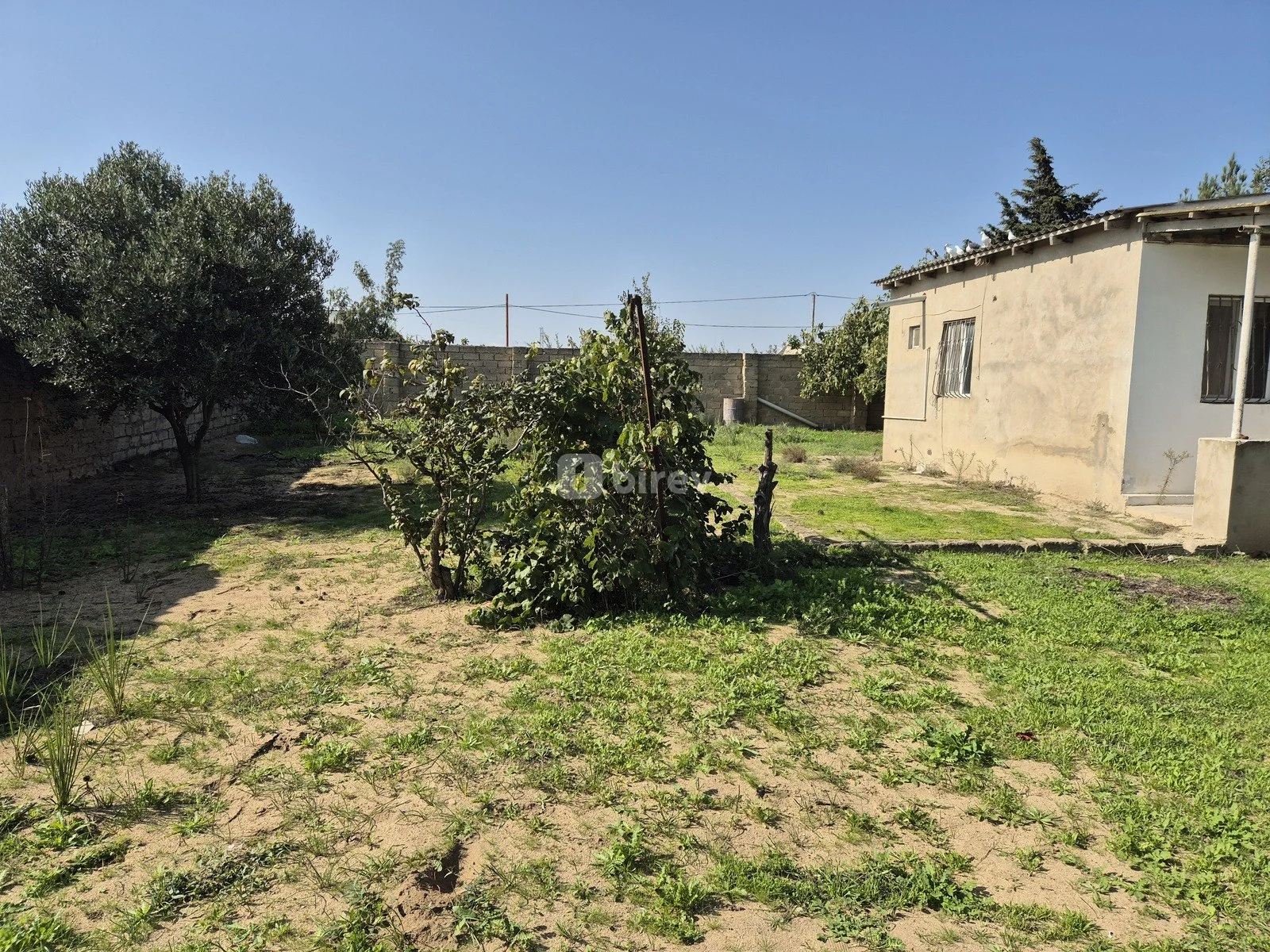 11.7 sot torpaq, Qala q., Qala qəsəbəsi, Xəzər rayonu — şəkil 4