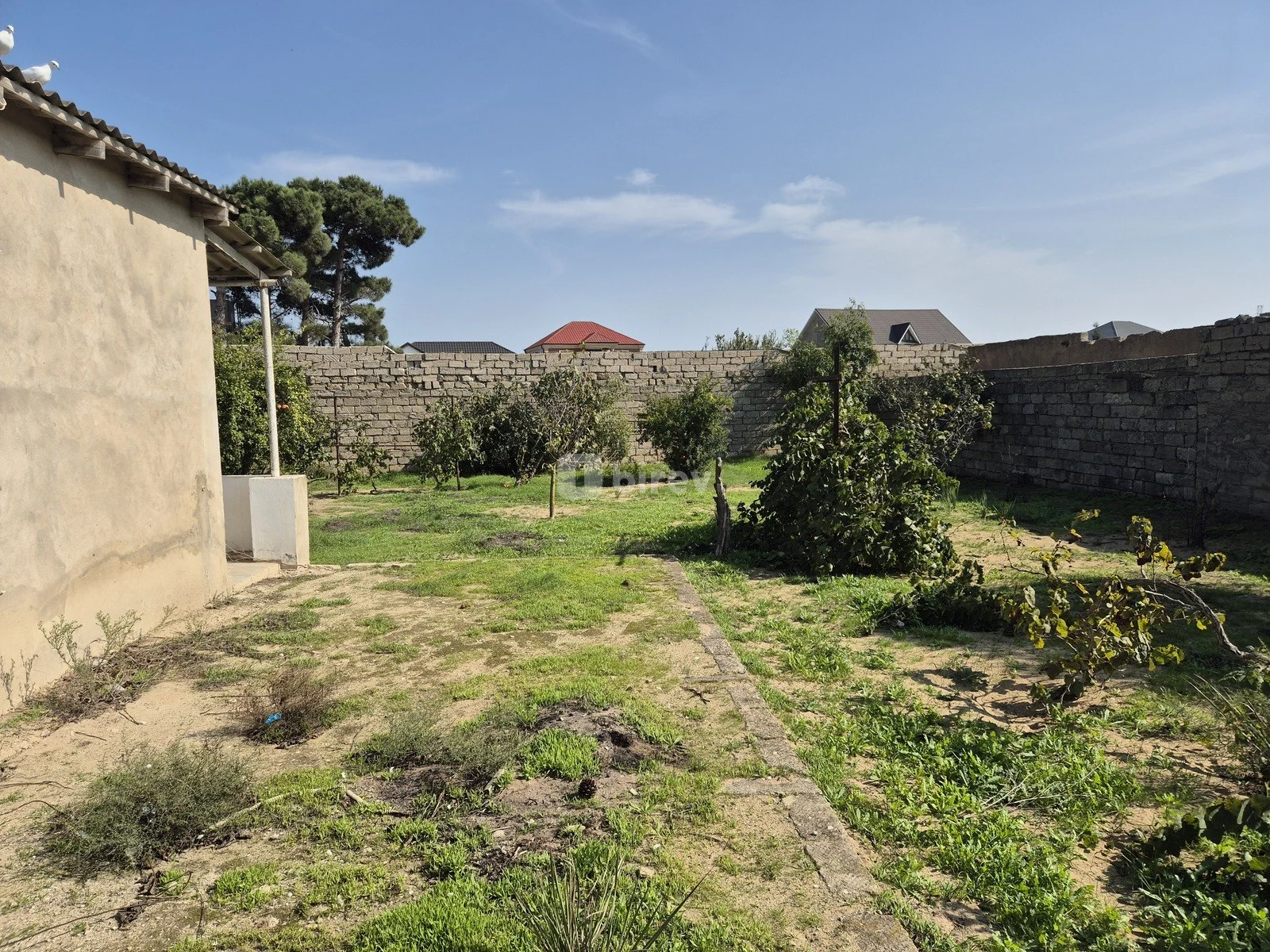 11.7 sot torpaq, Qala q., Qala qəsəbəsi, Xəzər rayonu — şəkil 5