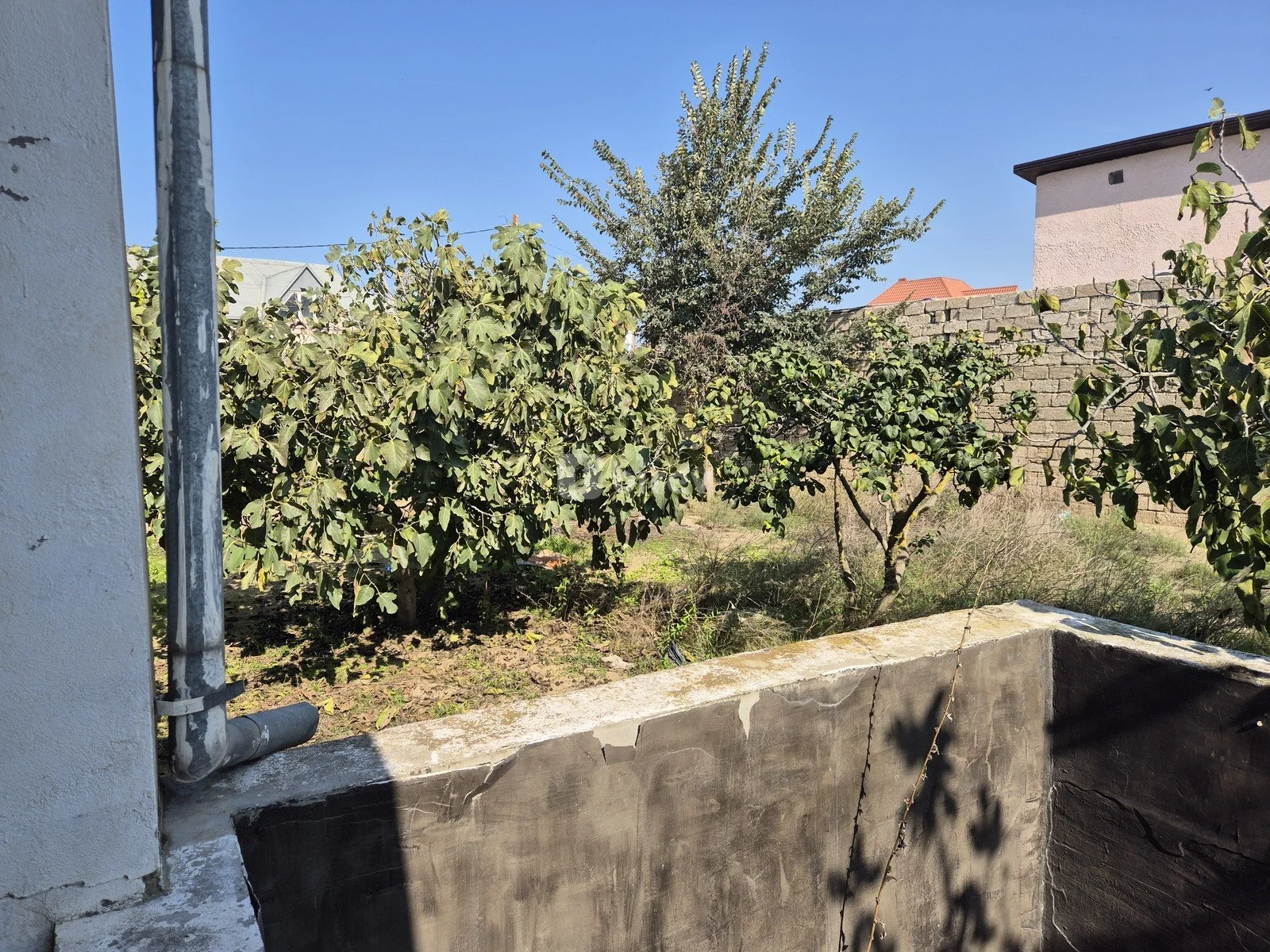 11.7 sot torpaq, Qala q., Qala qəsəbəsi, Xəzər rayonu — şəkil 6
