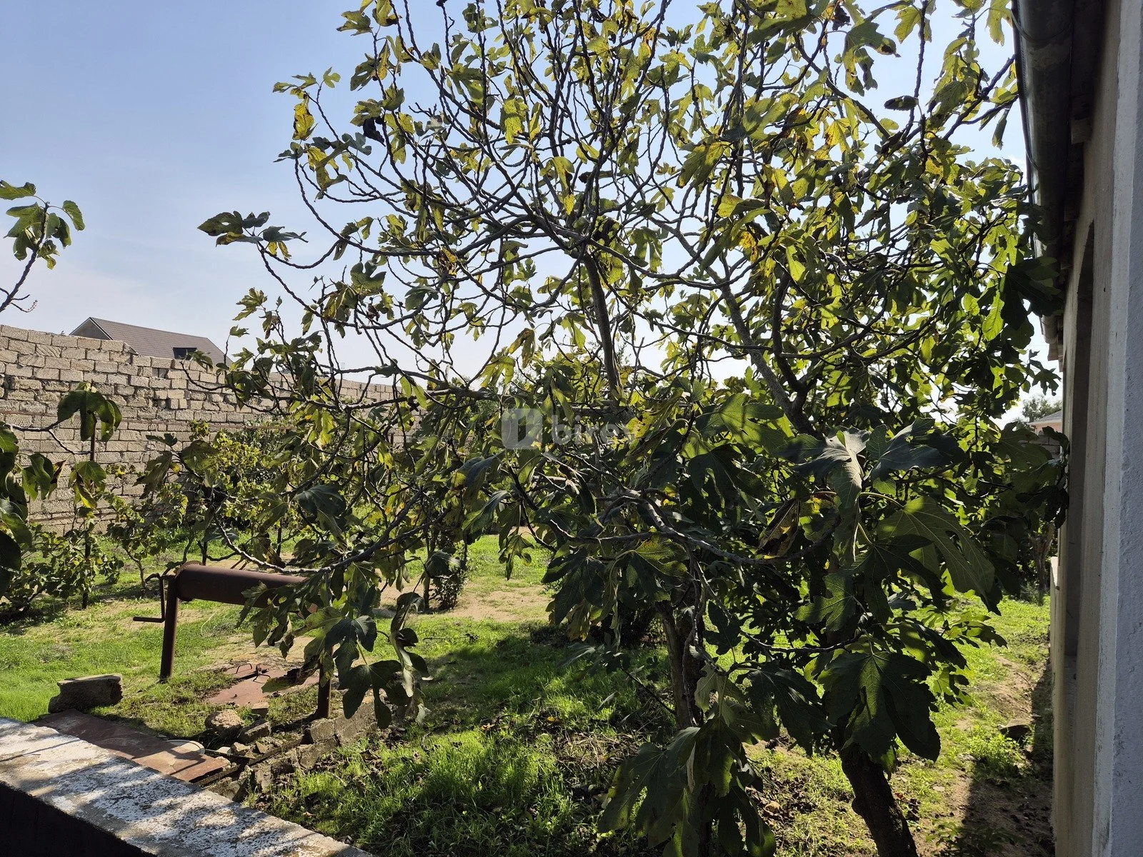 11.7 sot torpaq, Qala q., Qala qəsəbəsi, Xəzər rayonu — şəkil 7