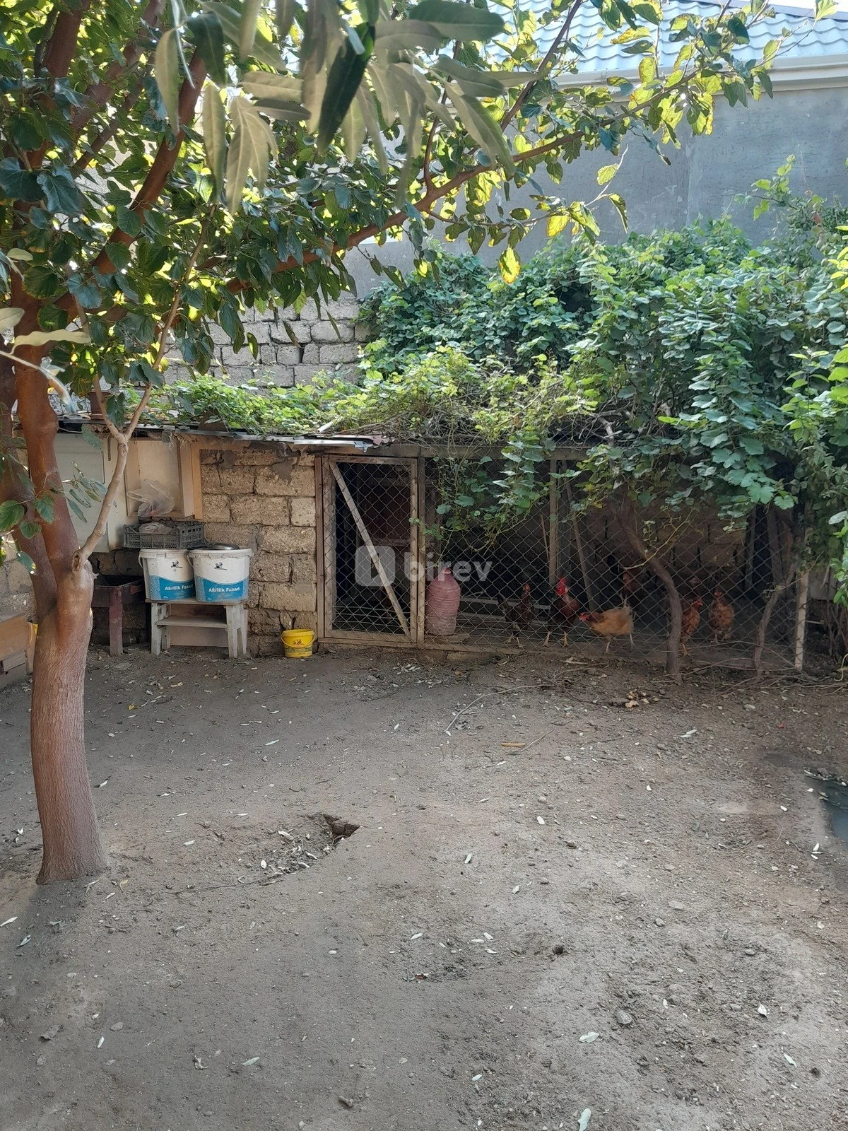 4 otaqlı həyət evi, Hövsan q., Hövsan qəs., Suraxanı rayonu — şəkil 7