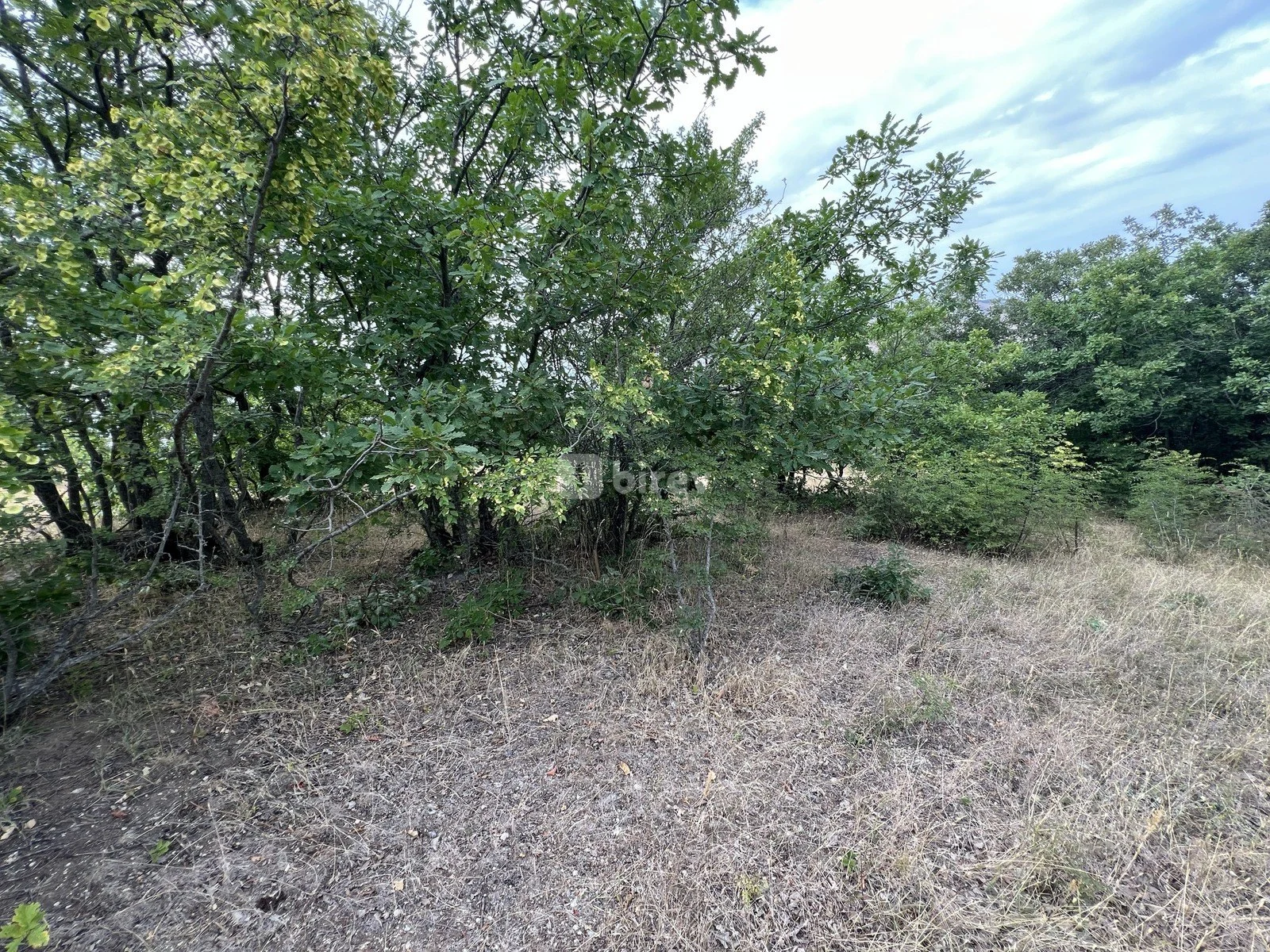 12 sot torpaq, Xızı rayonu, Xızı şəhəri, Xızı rayonu — şəkil 3