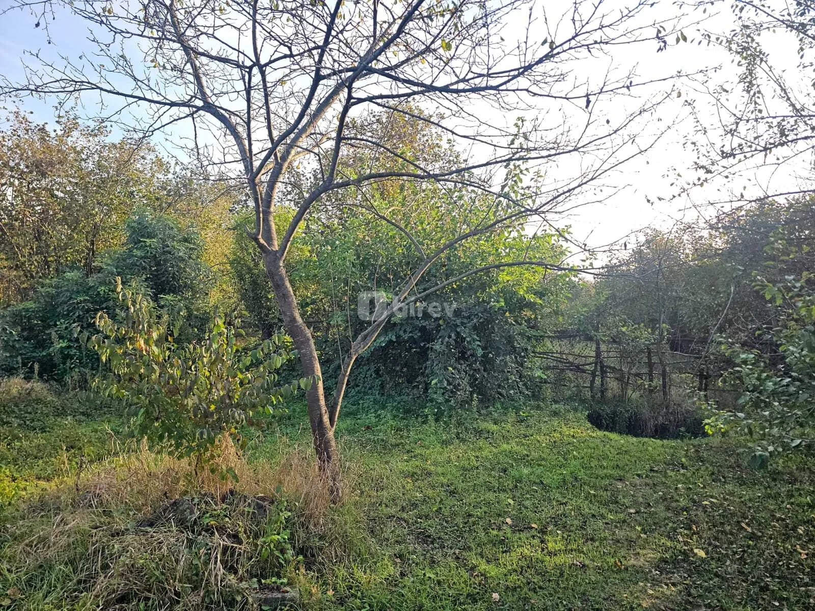 4 otaqlı həyət evi, Qəbələ rayonu, Qəbələ rayonu — şəkil 10