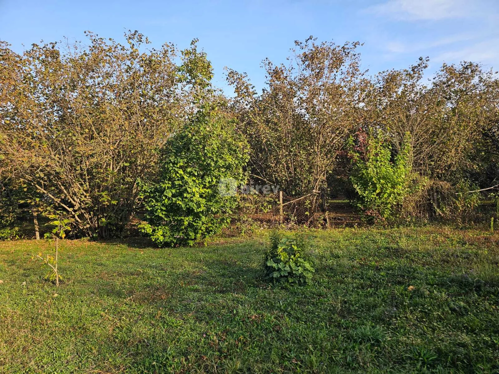 4 otaqlı həyət evi, Qəbələ rayonu, Qəbələ rayonu — şəkil 13