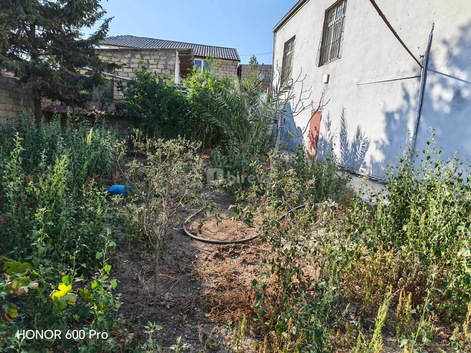 3 otaqlı həyət evi, Binəqədi q., Binəqədi qəsəbəsi, Binəqədi rayonu — şəkil 21