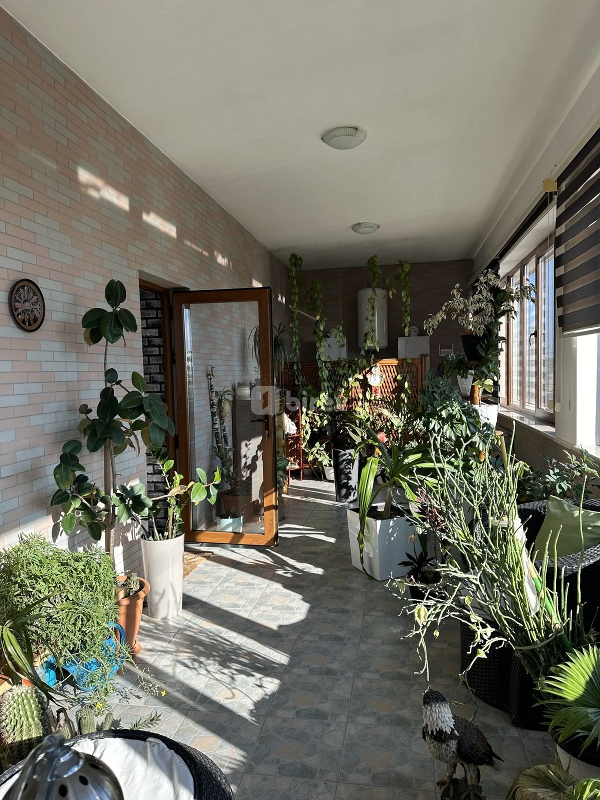 6 otaqlı həyət evi, Buzovna q., Buzovna qəs., Xəzər rayonu — şəkil 22