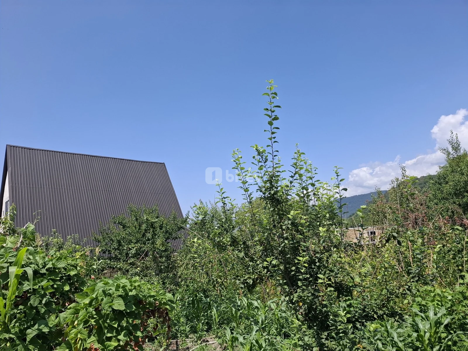 3.5 sot torpaq, Qəbələ rayonu, Qəbələ rayonu — şəkil 1