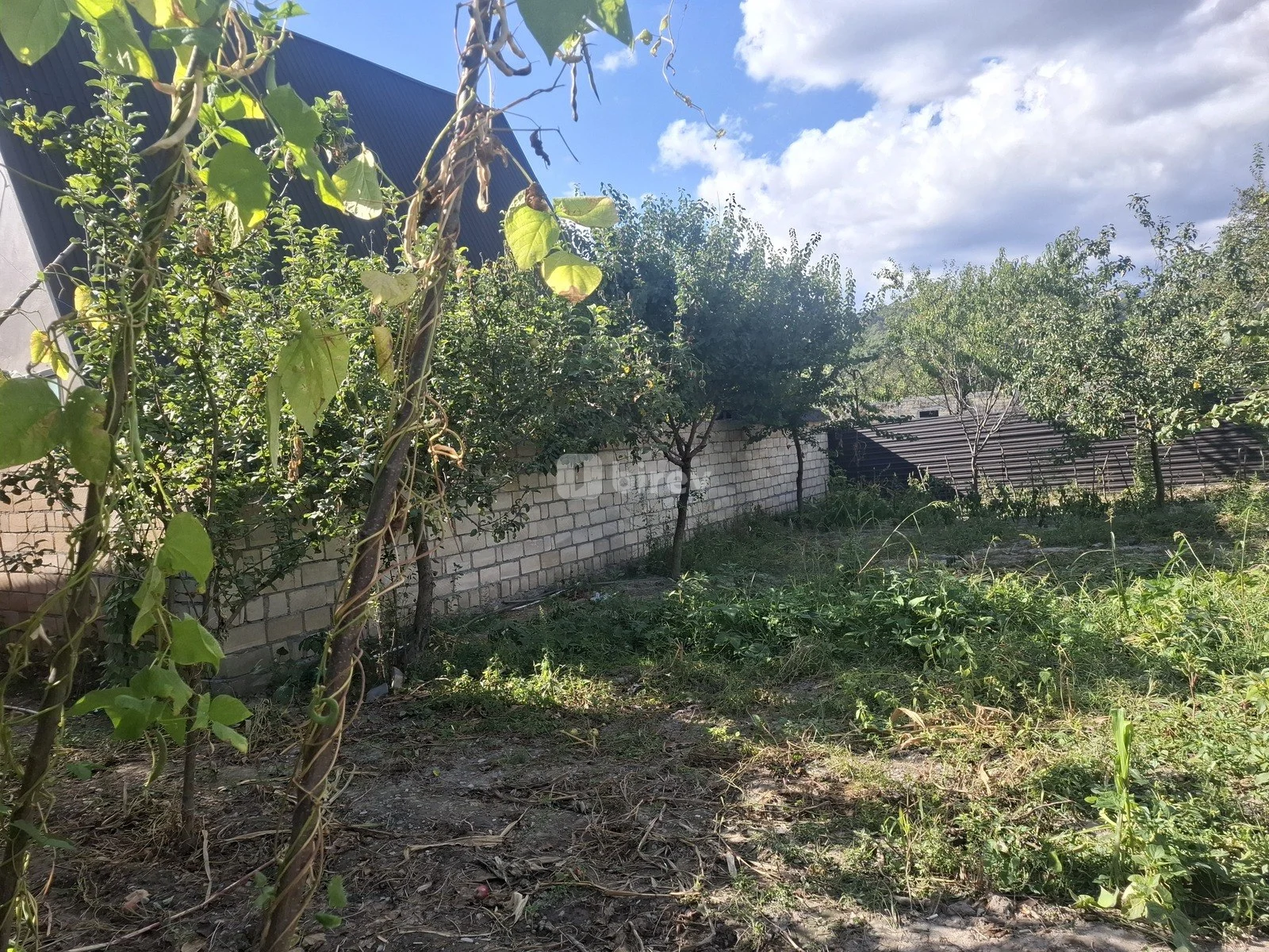 3.5 sot torpaq, Qəbələ rayonu, Qəbələ rayonu — şəkil 3