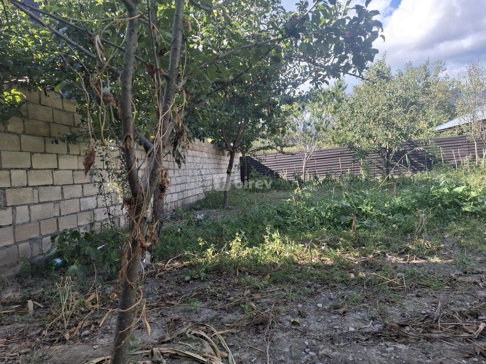 3.5 sot torpaq, Qəbələ rayonu, Qəbələ rayonu — şəkil 5