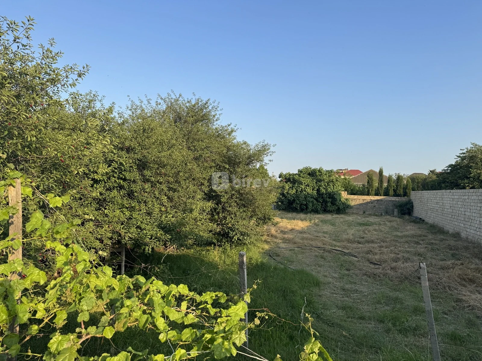 10 sot torpaq, Novxanı q., Novxanı qəsəbəsi, Abşeron rayonu — şəkil 3