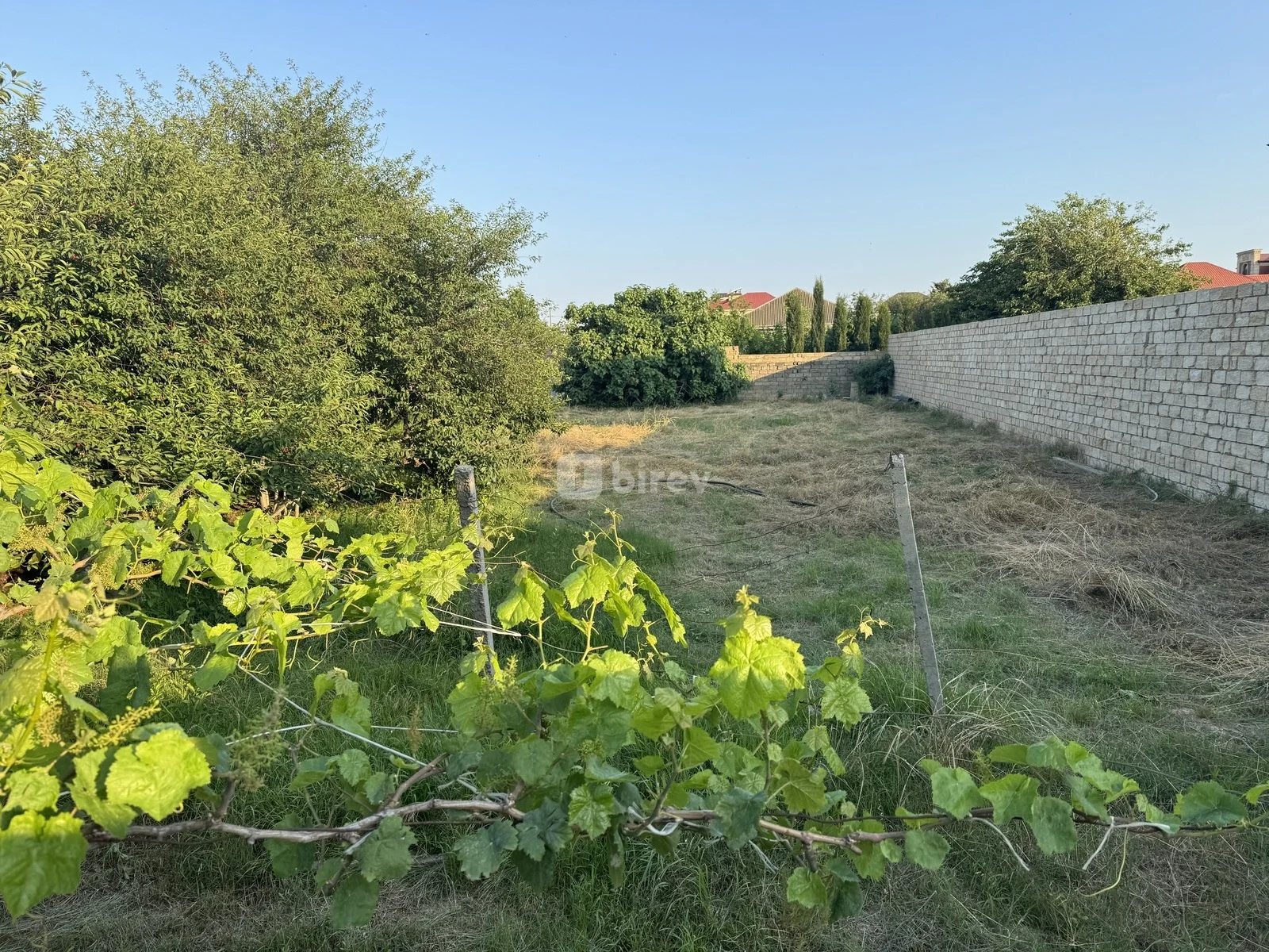 10 sot torpaq, Novxanı q., Novxanı qəsəbəsi, Abşeron rayonu — şəkil 4