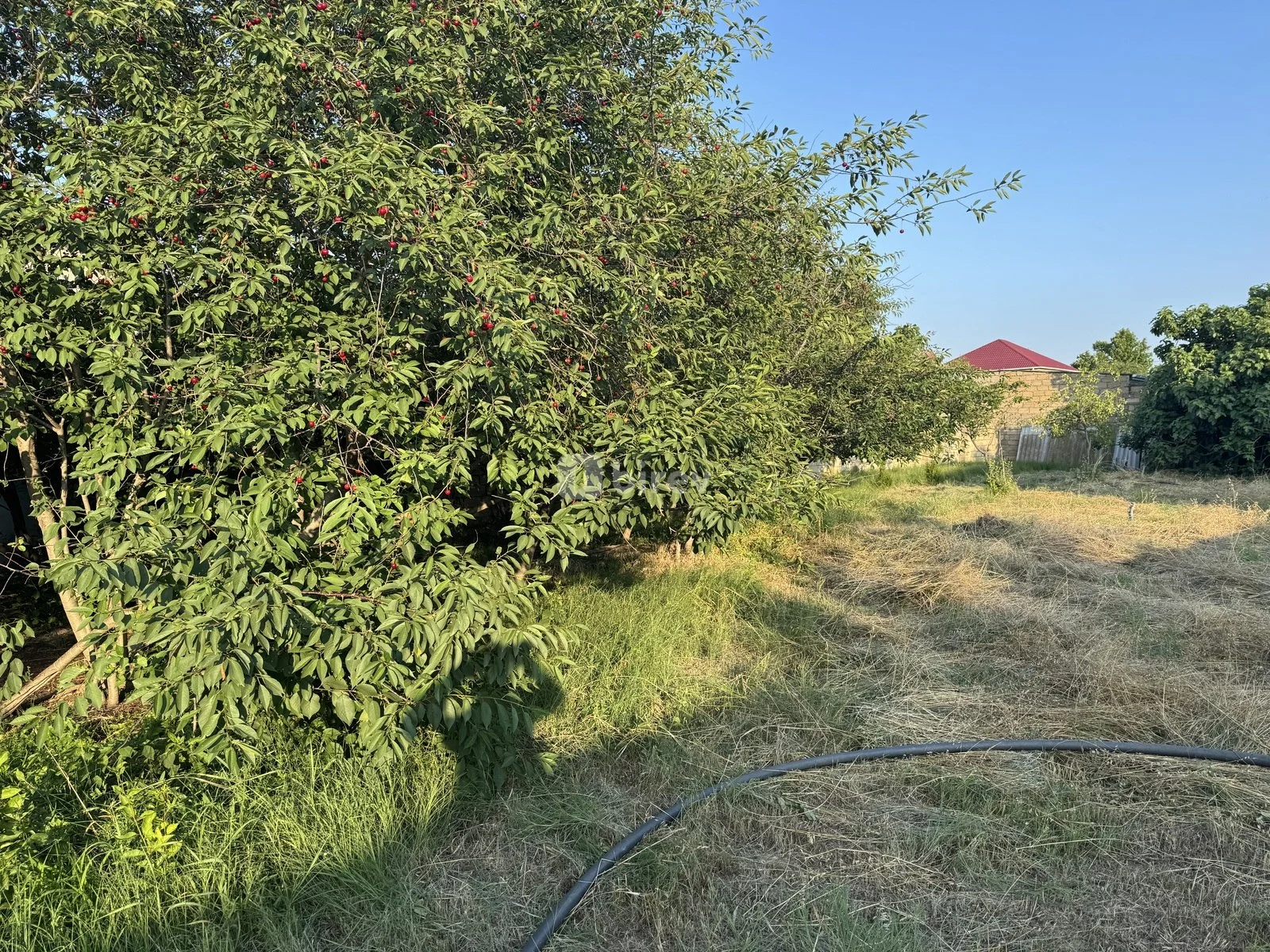 10 sot torpaq, Novxanı q., Novxanı qəsəbəsi, Abşeron rayonu — şəkil 6