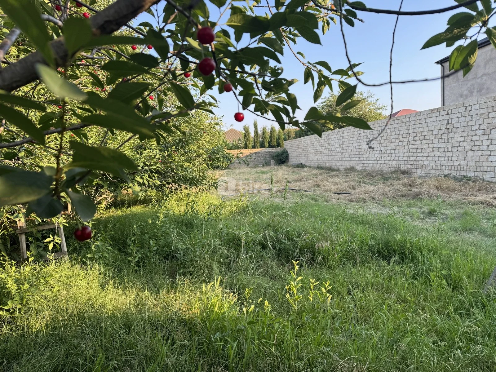 10 sot torpaq, Novxanı q., Novxanı qəsəbəsi, Abşeron rayonu — şəkil 8