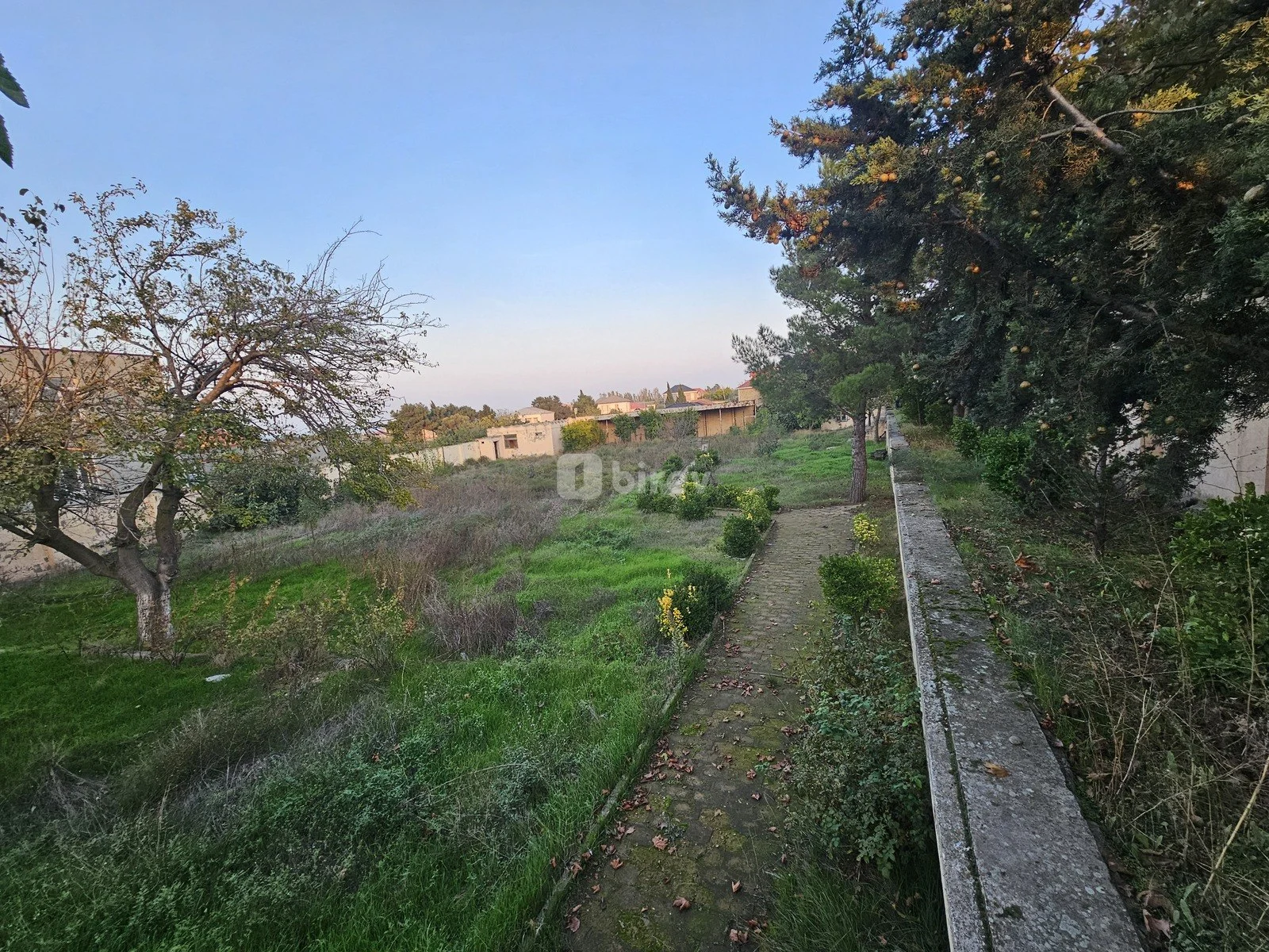 17 sot torpaq, Görədil q., Binəqədi rayonu Görədil52ci bağlar küçəsi 47, Abşeron rayonu — şəkil 3
