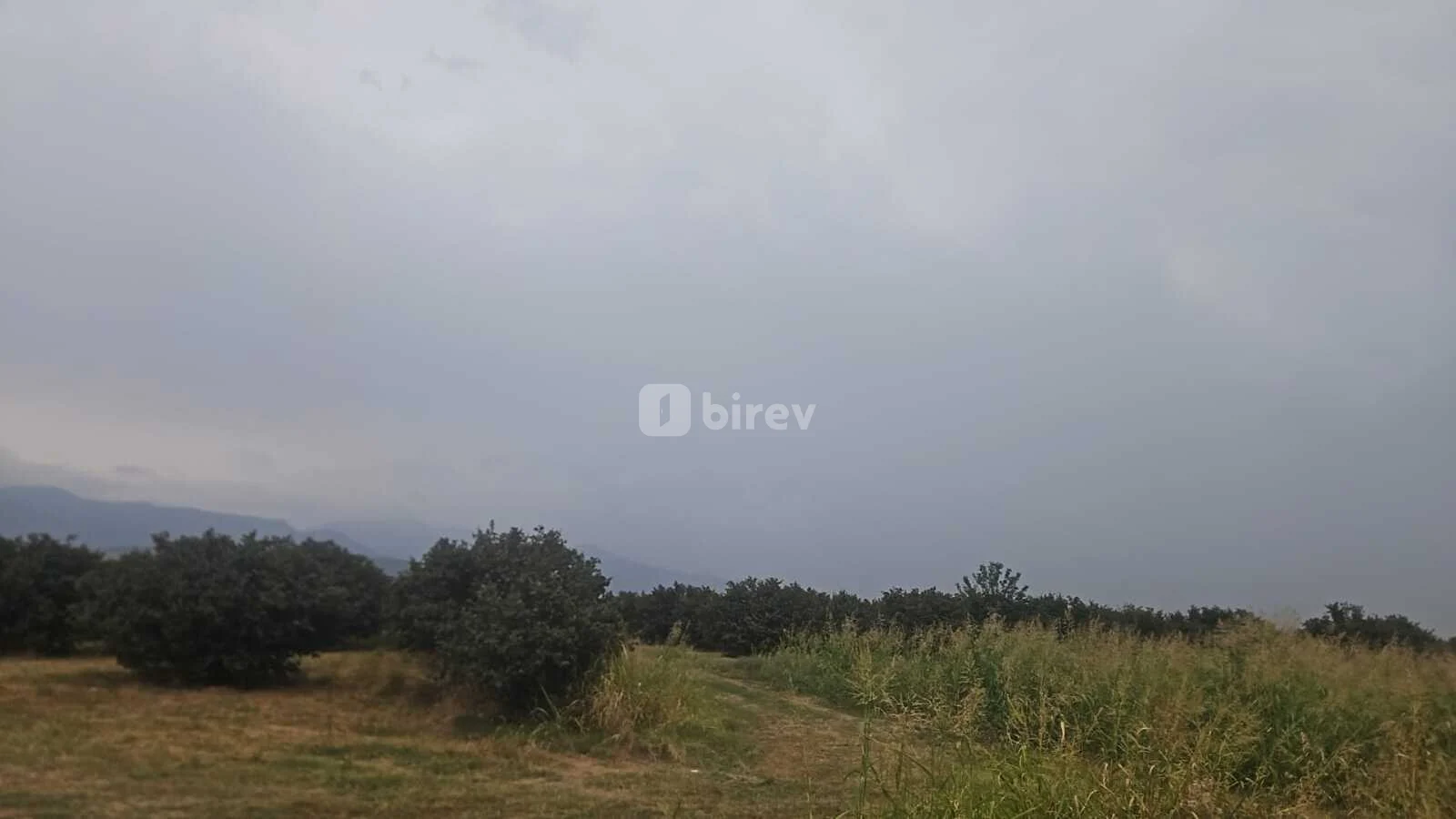 650 sot torpaq, Şəki şəhəri, Şəki rayonu — şəkil 2