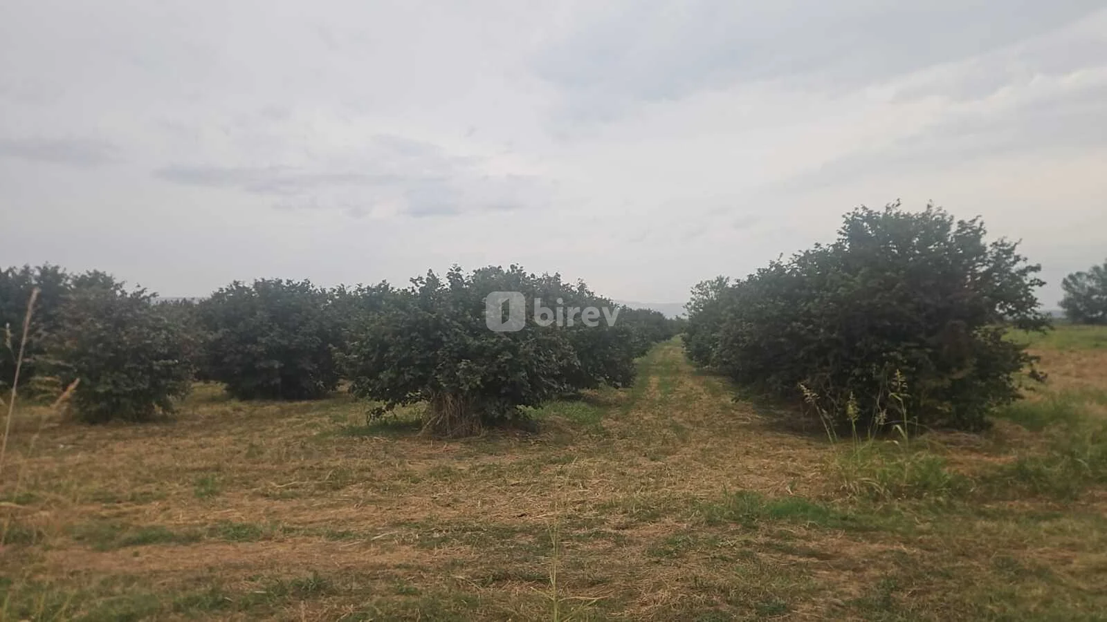 650 sot torpaq, Şəki şəhəri, Şəki rayonu — şəkil 14