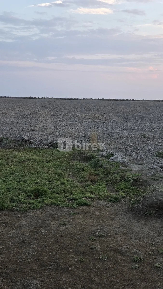15000 sot torpaq, Neftçala rayonu, Neftçala şəhəri, Neftçala rayonu — şəkil 1