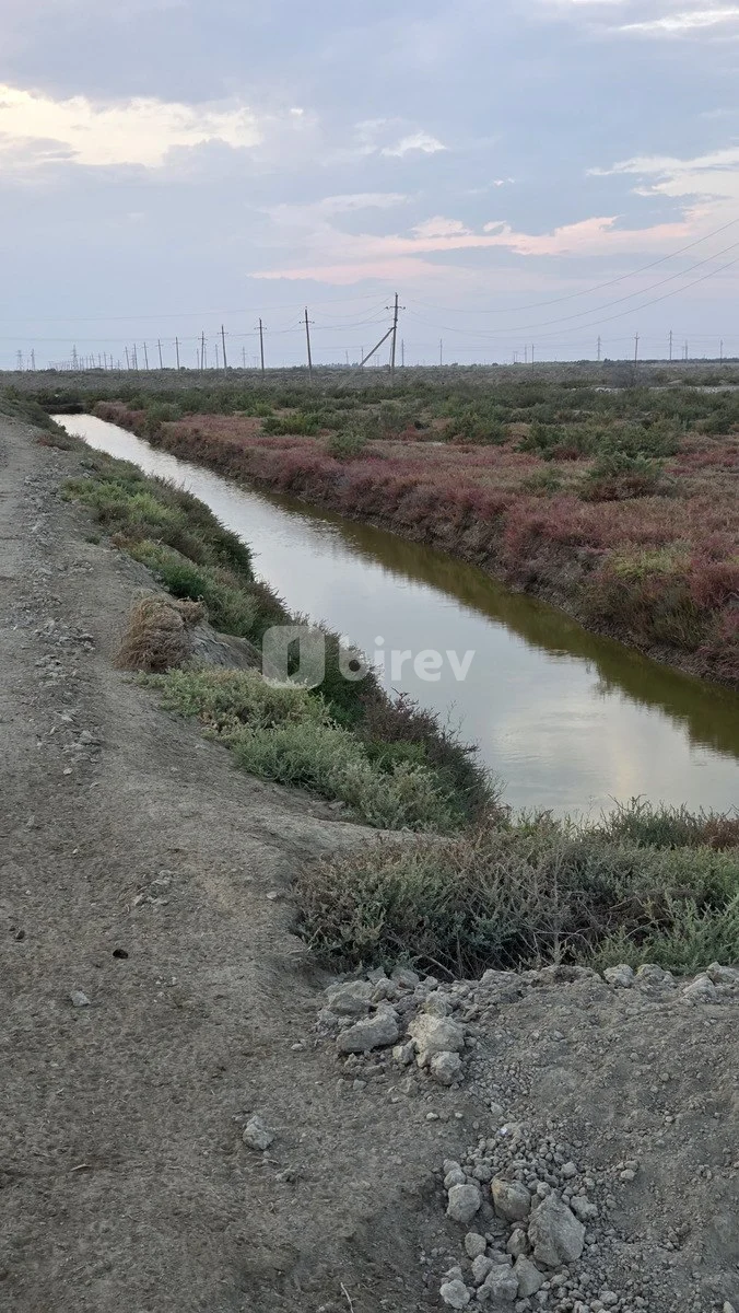 15000 sot torpaq, Neftçala rayonu, Neftçala şəhəri, Neftçala rayonu — şəkil 2