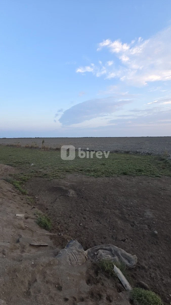 15000 sot torpaq, Neftçala rayonu, Neftçala şəhəri, Neftçala rayonu — şəkil 3