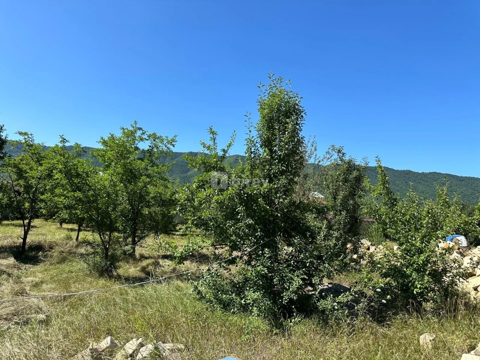 18 sot torpaq, Şahdağ, Qusar rayonu, Qusar rayonu — şəkil 6
