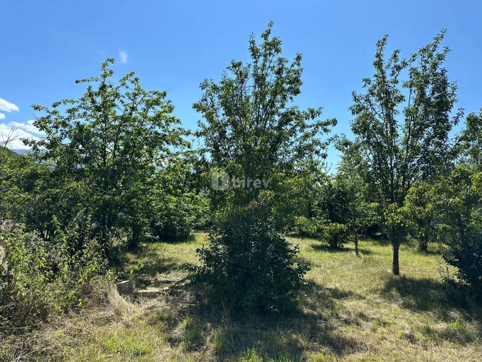 18 sot torpaq, Şahdağ, Qusar rayonu, Qusar rayonu — şəkil 11