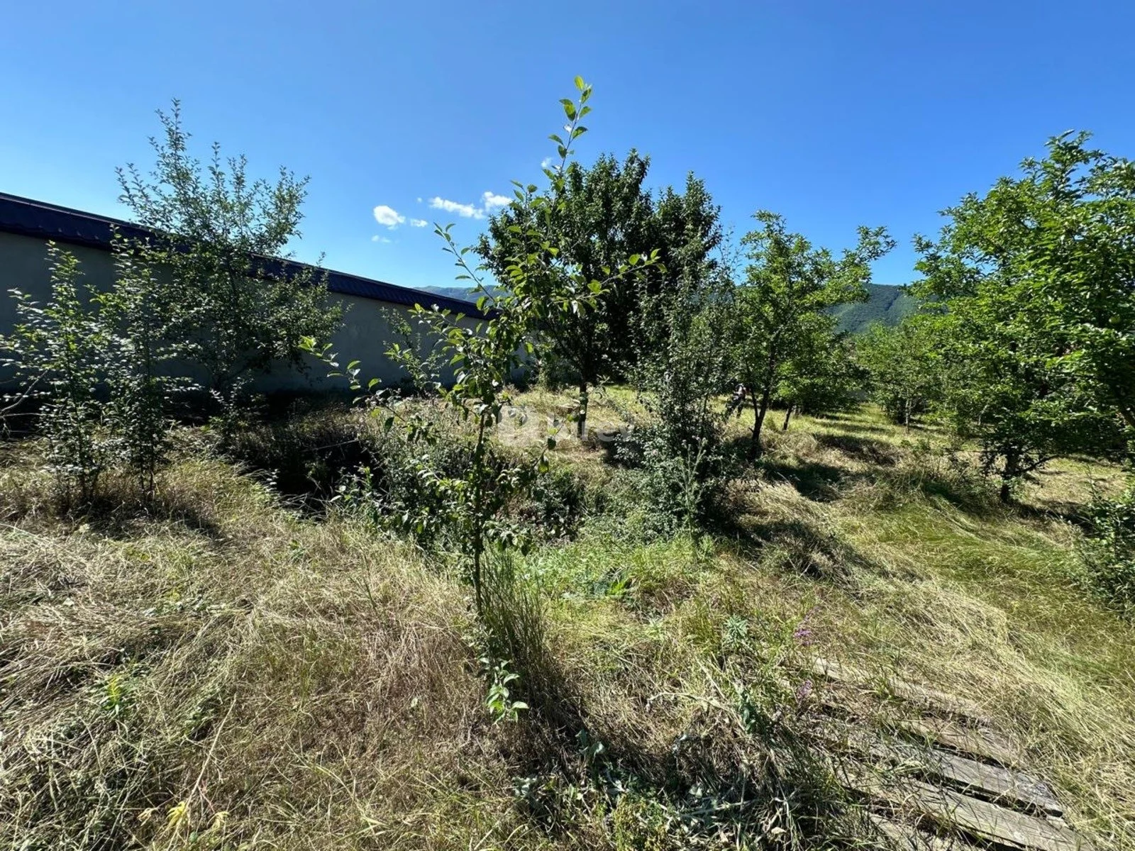 18 sot torpaq, Şahdağ, Qusar rayonu, Qusar rayonu — şəkil 22