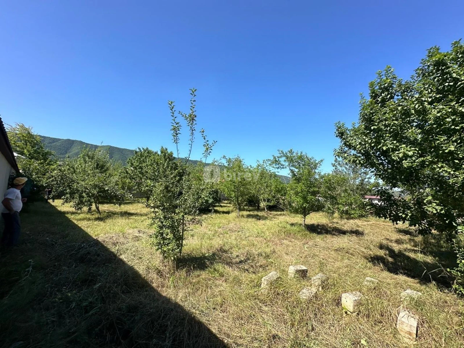 18 sot torpaq, Şahdağ, Qusar rayonu, Qusar rayonu — şəkil 23