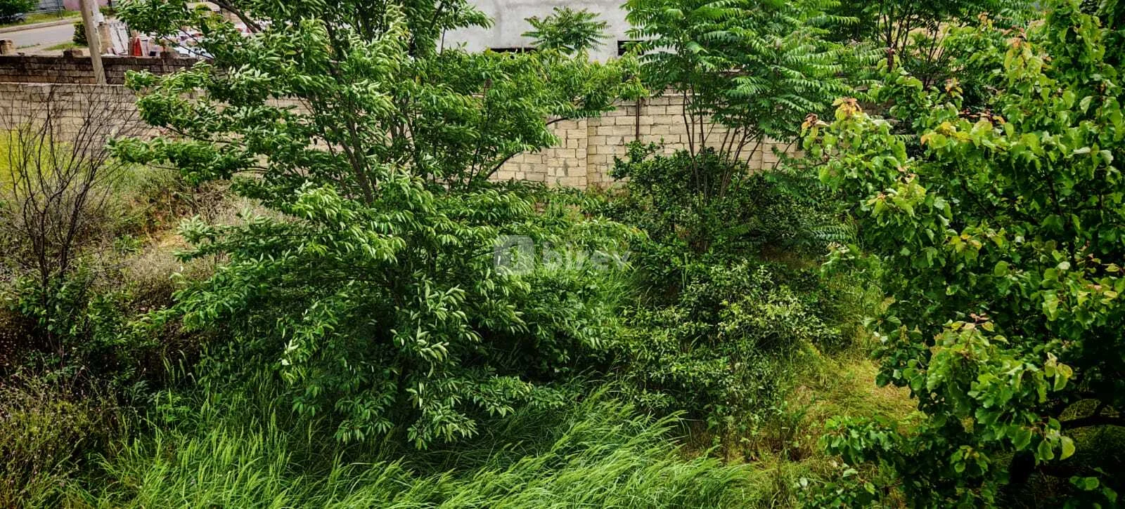 5 otaqlı həyət evi, Masallı rayonu, Bakı pr,. ev 30., Masallı rayonu — şəkil 23