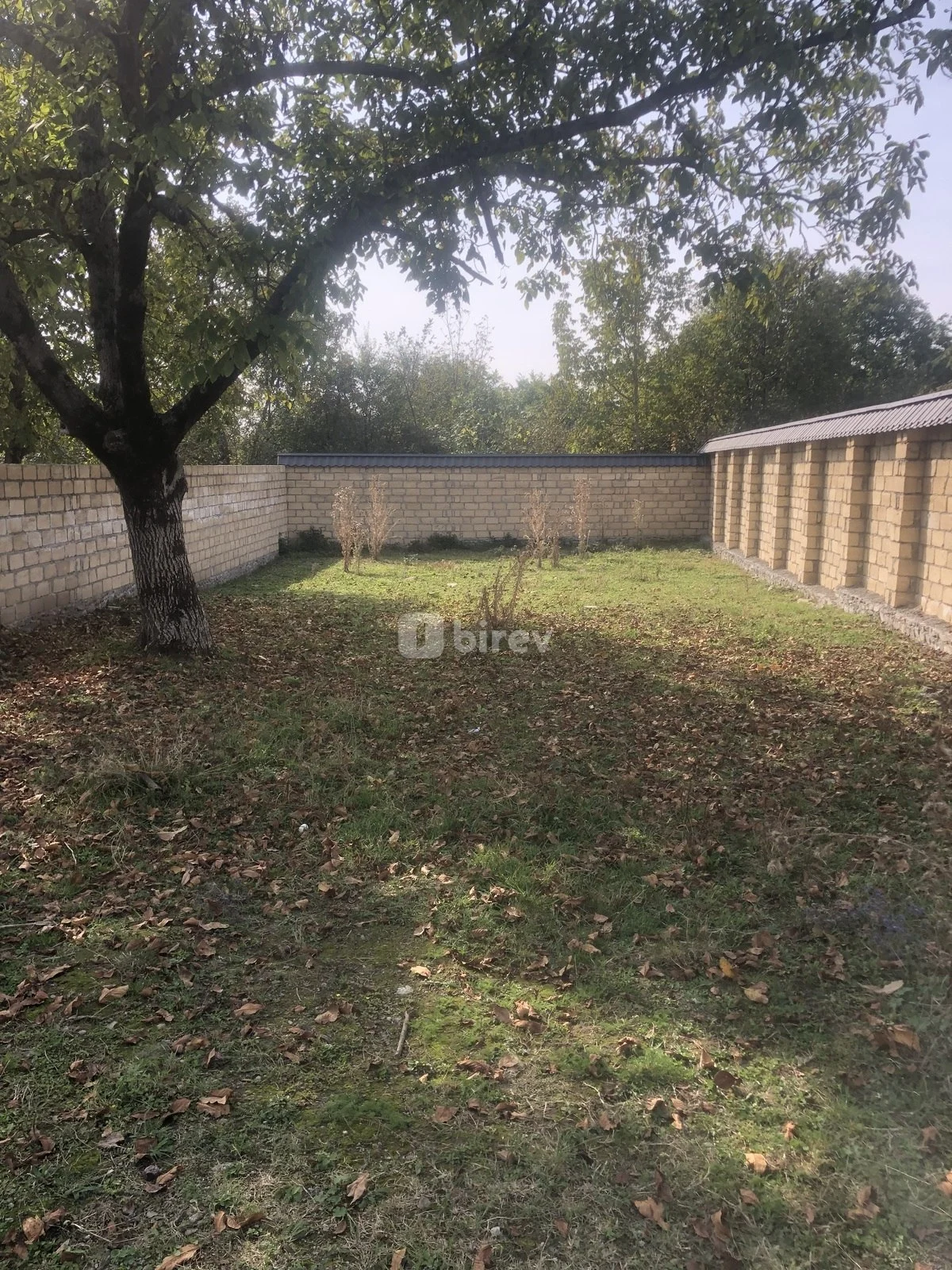 4 sot torpaq, Vəndam, Vəndam qəs., Qəbələ rayonu — şəkil 2