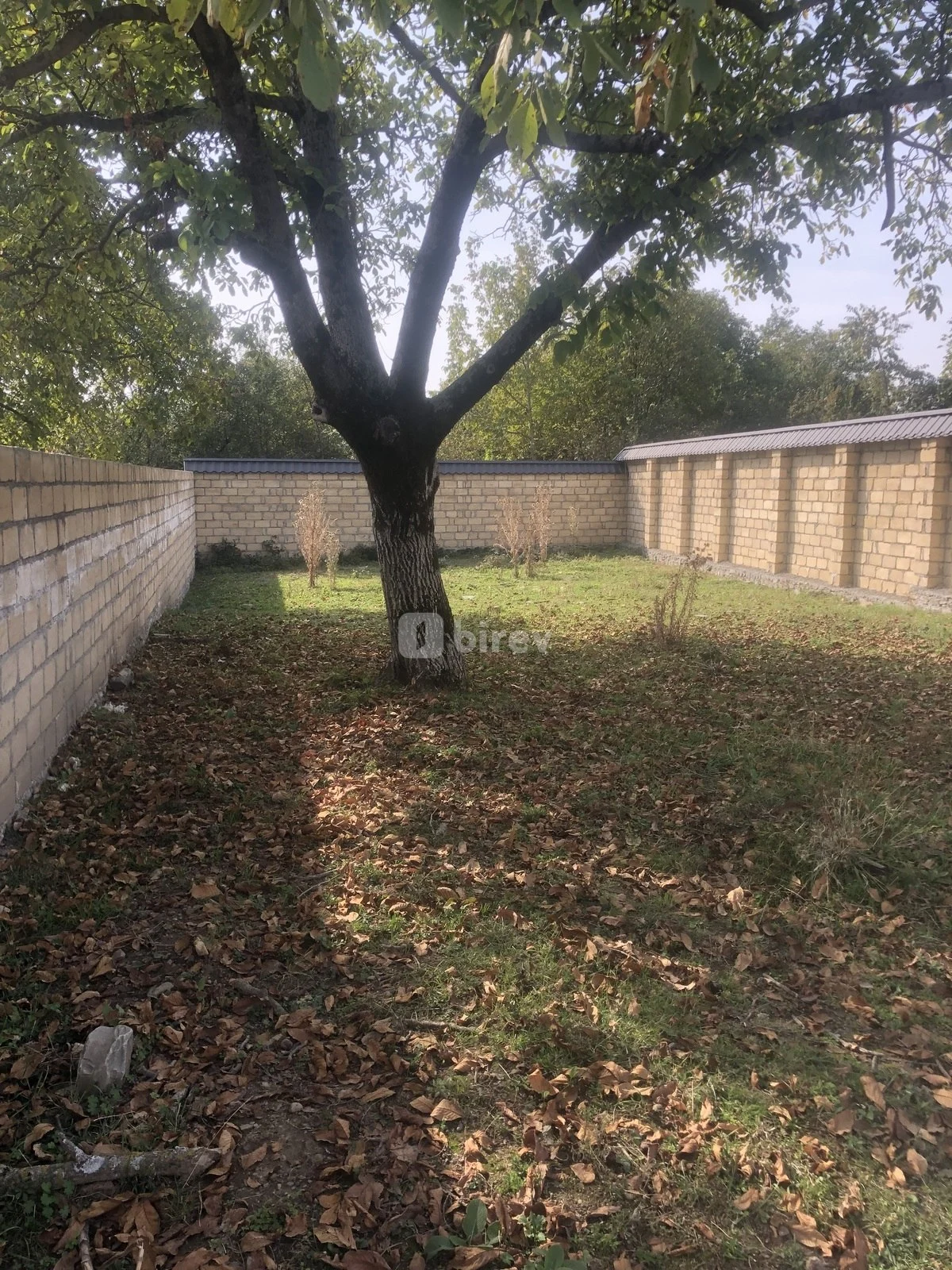 4 sot torpaq, Vəndam, Vəndam qəs., Qəbələ rayonu — şəkil 4