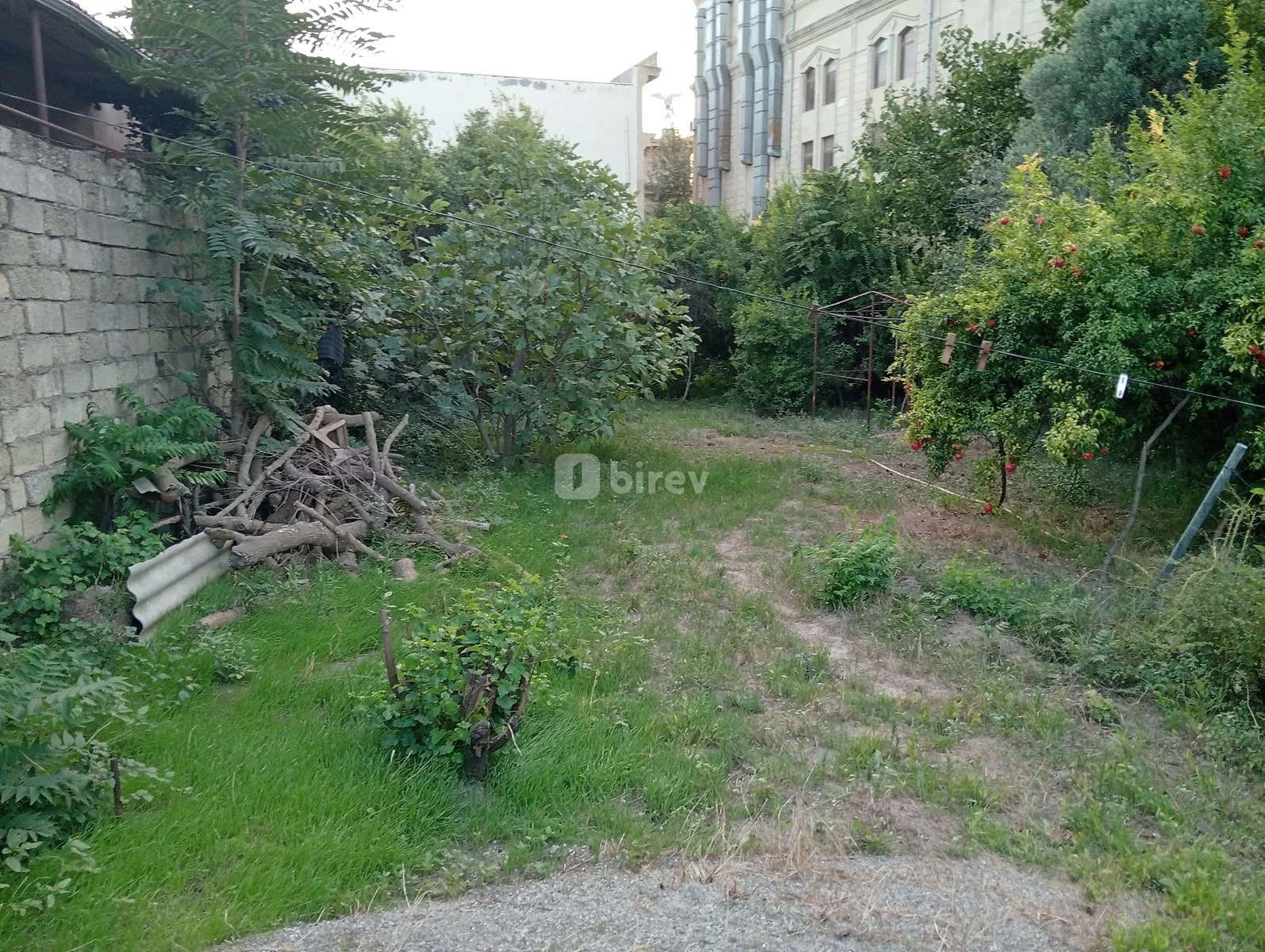 19 sot torpaq, Nizami rayonu, Çobanzadə, Bakı şəhəri — şəkil 4