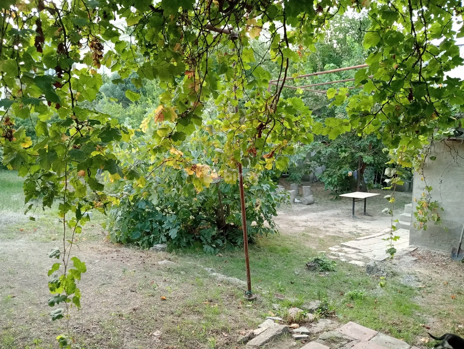 19 sot torpaq, Nizami rayonu, Çobanzadə, Bakı şəhəri — şəkil 6